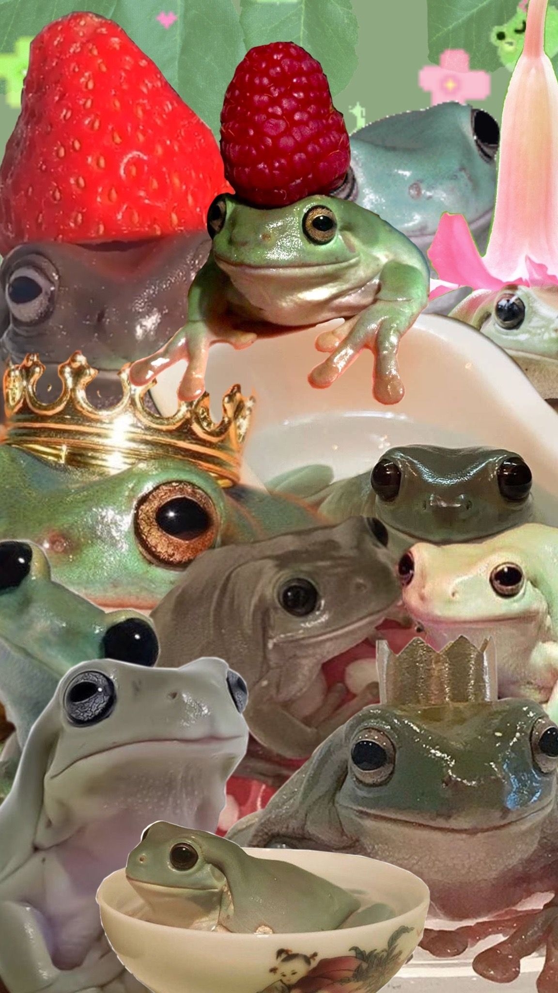1160x2050 Frog Aesthetic Wallpaper, Phone
