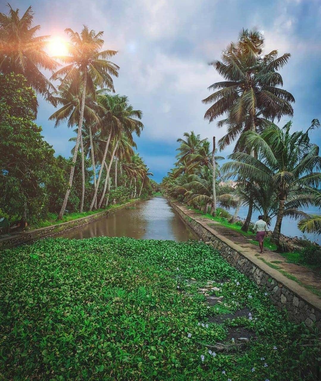 1080x1280 Kerala wallpaper. Kerala, Beautiful wallpaper, Wallpaper, Phone