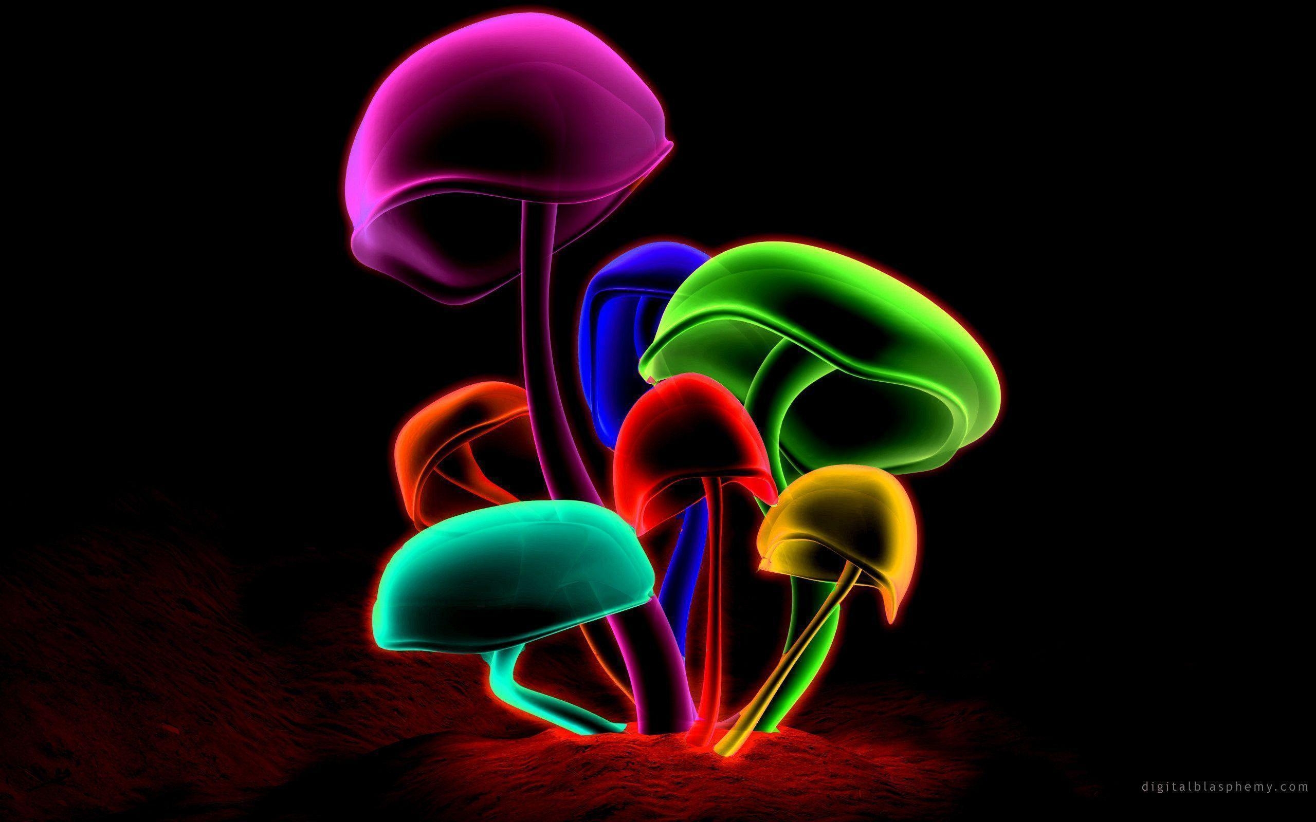 2560x1600 Mushrooms Wallpaper Full HD, Desktop