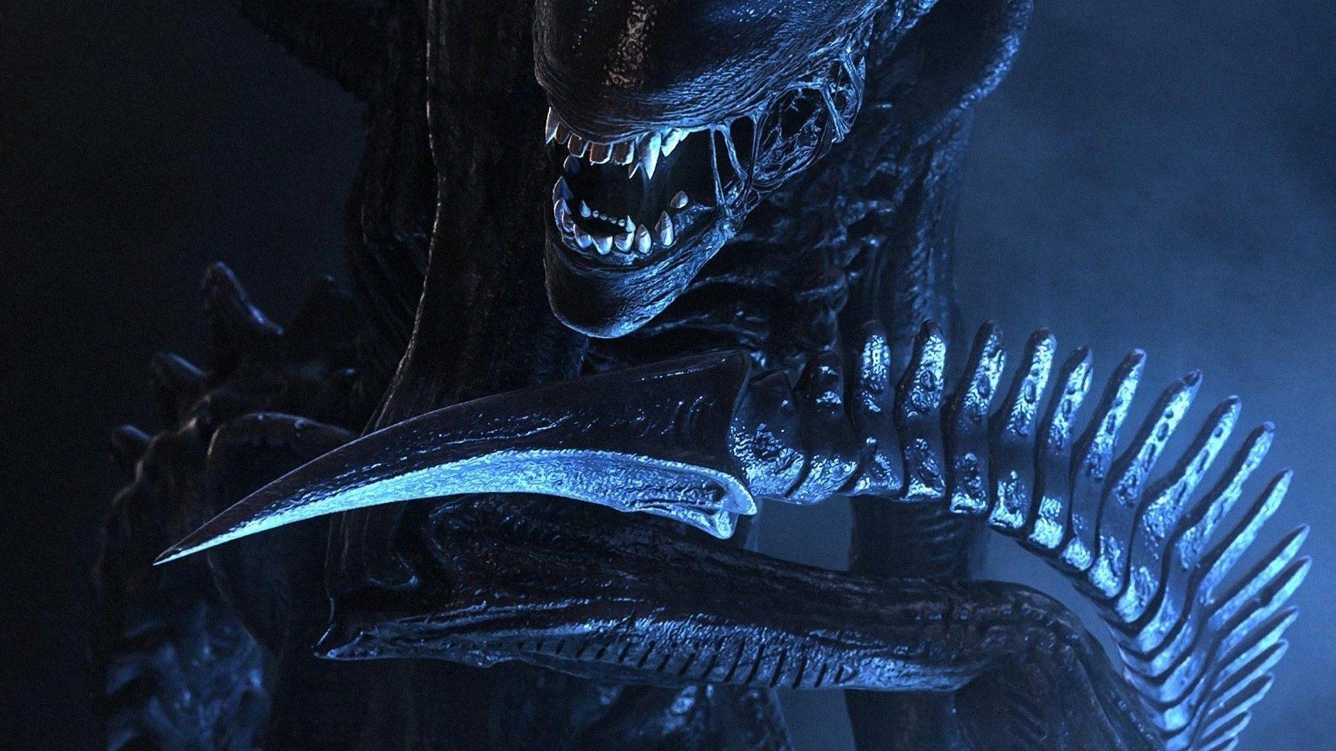 1920x1080 Xenomorph HD Wallpaper and Background Image, Desktop