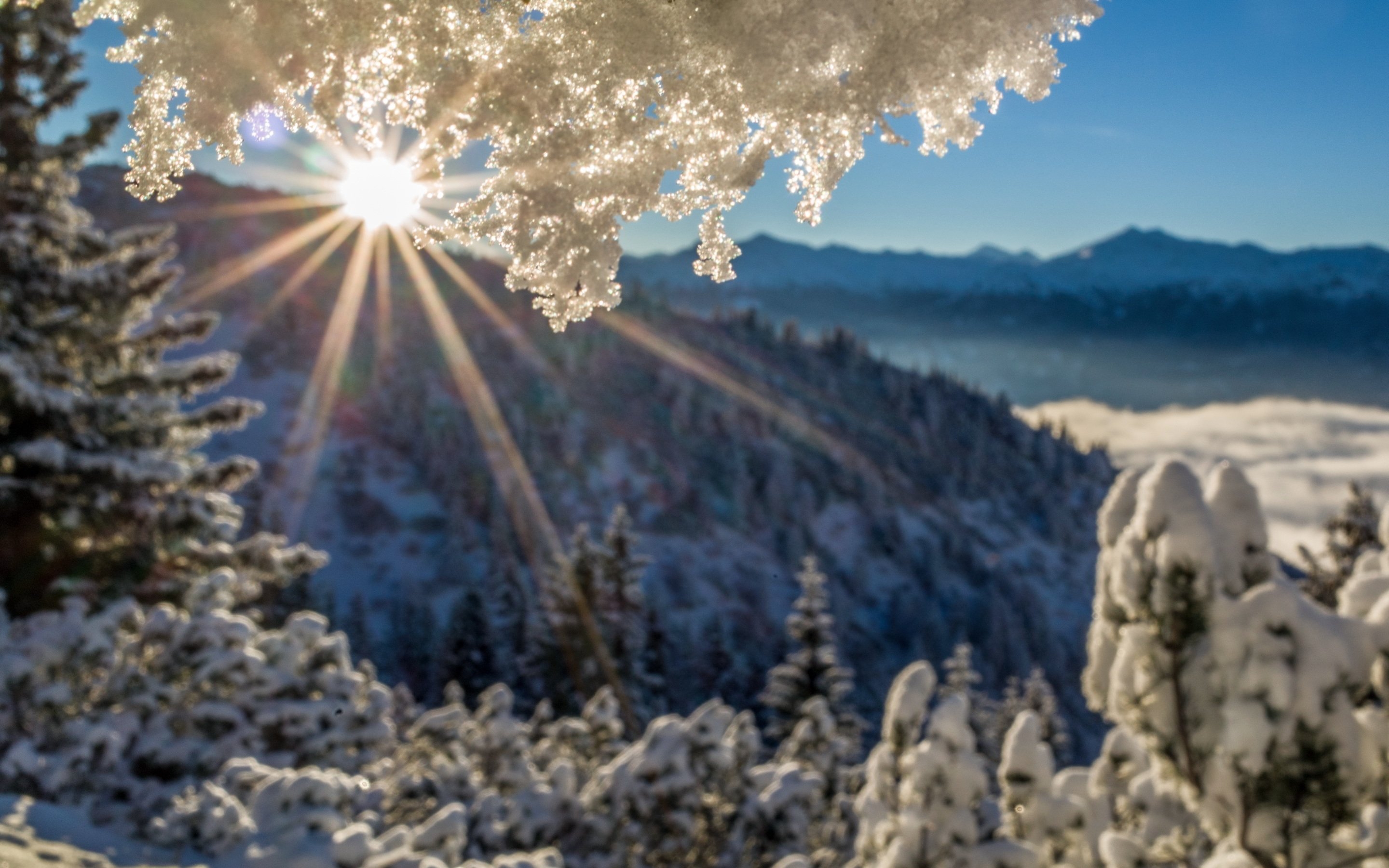 2880x1800 Free photo: Winter Morning, White, Water, Desktop