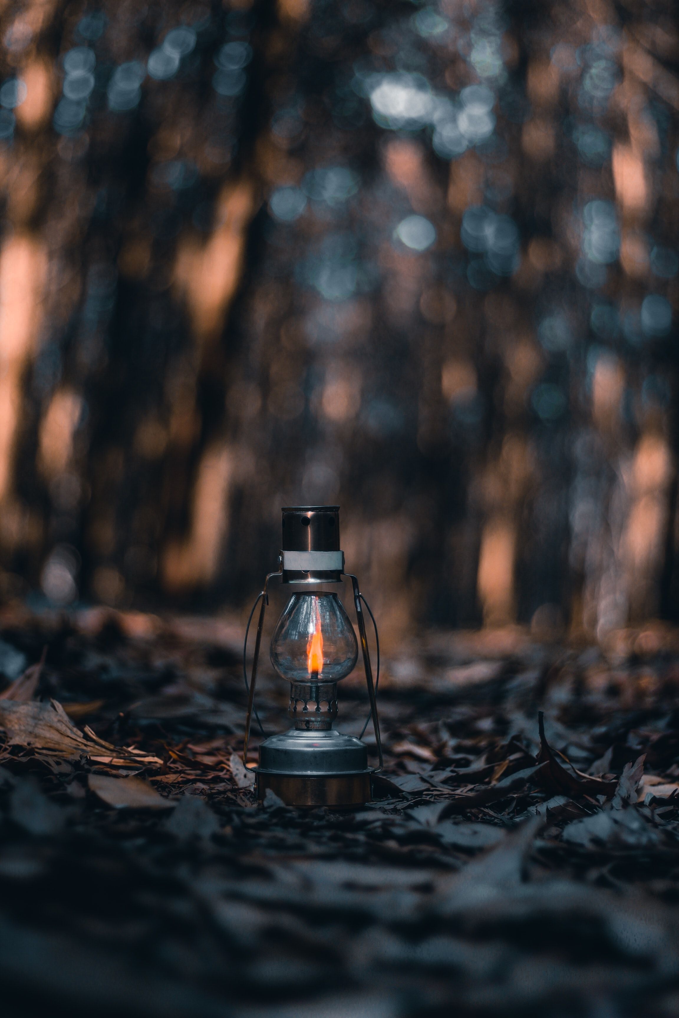 2310x3460 lamp #lantern #light #oil #lamp #on oil lamp on the ground WALLPAPER LANTERN , LIGHTS, EVENING, FORES. Oil lamps, Dslr background image, iPhone wallpaper vintage, Phone