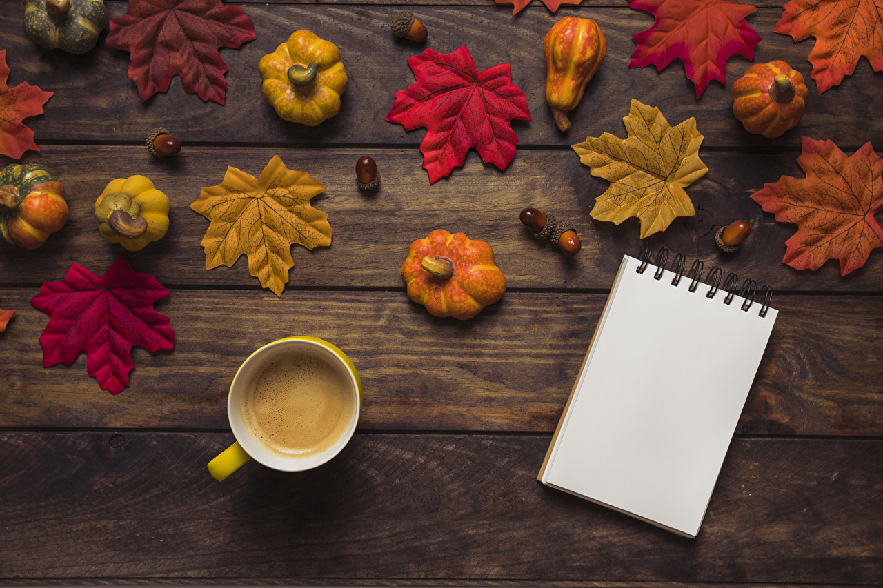 1280x860 Autumn Mug Wallpaper, Desktop