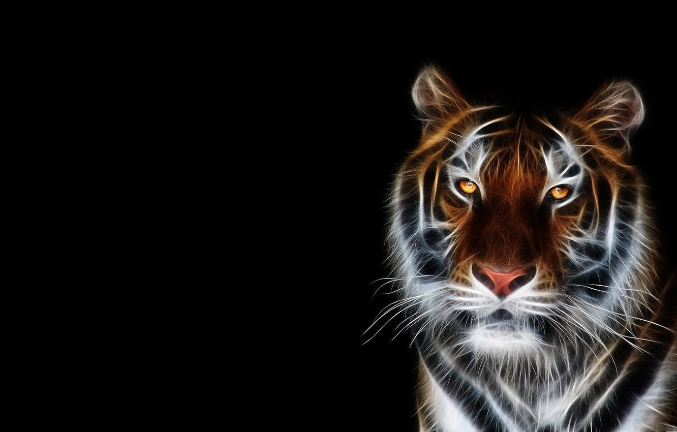 1340x850 Wallpaper face, tiger, Wallpaper, black background image for desktop, section рендеринг, Desktop