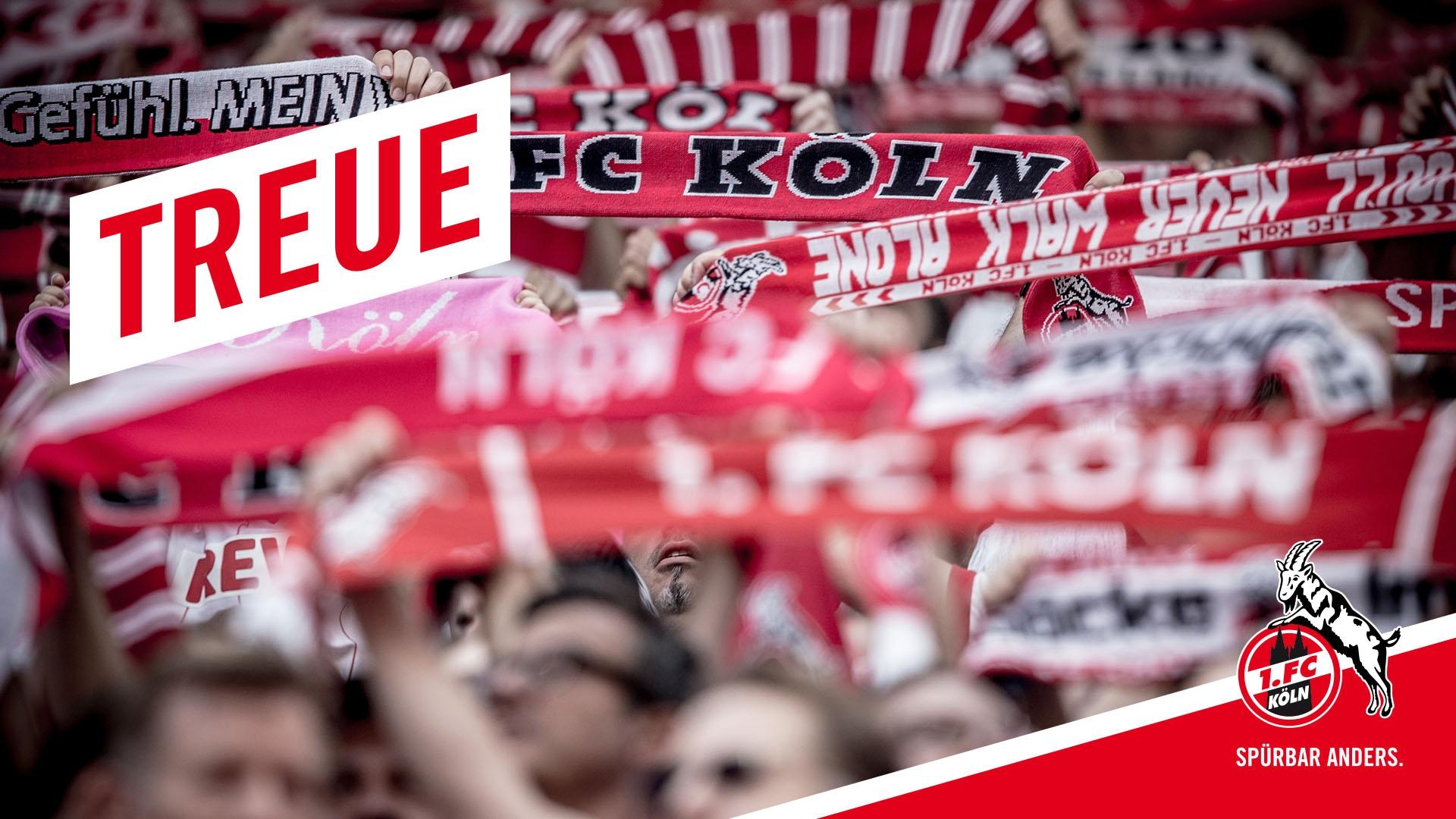 1920x1080 1. FC Köln, Desktop