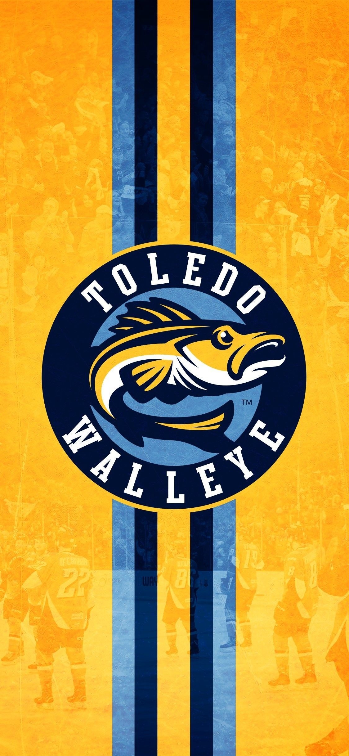 1130x2440 Toledo Walleye logo wallpaper #WalleyeWallpaperWednesday. Toledo walleye, Walleye, Toledo, Phone