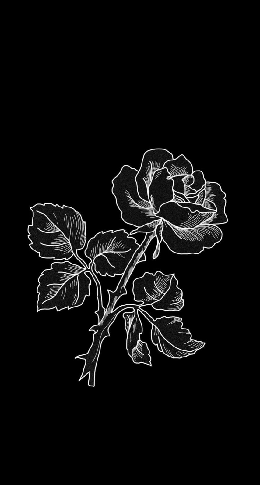 860x1590 Black and White Rose Drawing Wallpaper Free Black and White Rose Drawing Background, Phone