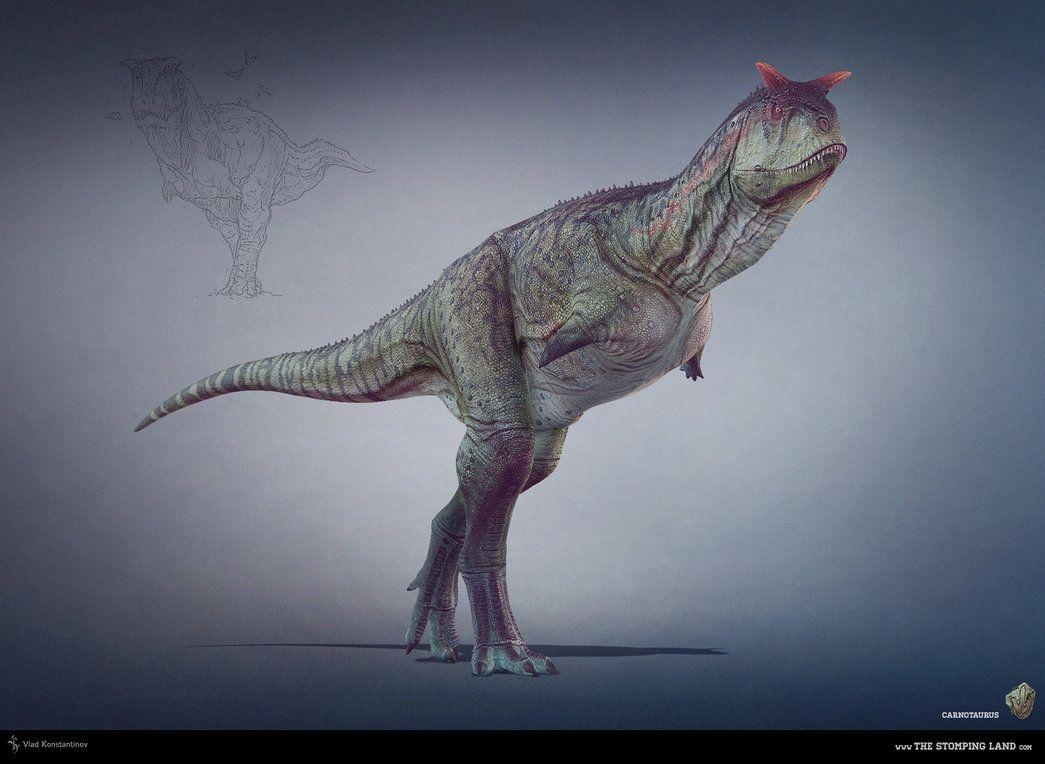 1050x770 image of Carnotaurus Wallpaper - #CALTO, Desktop