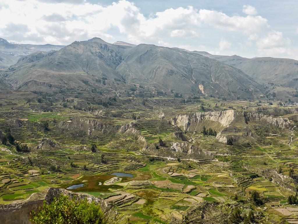 1030x770 Trekking The Colca Canyon, Peru, Desktop