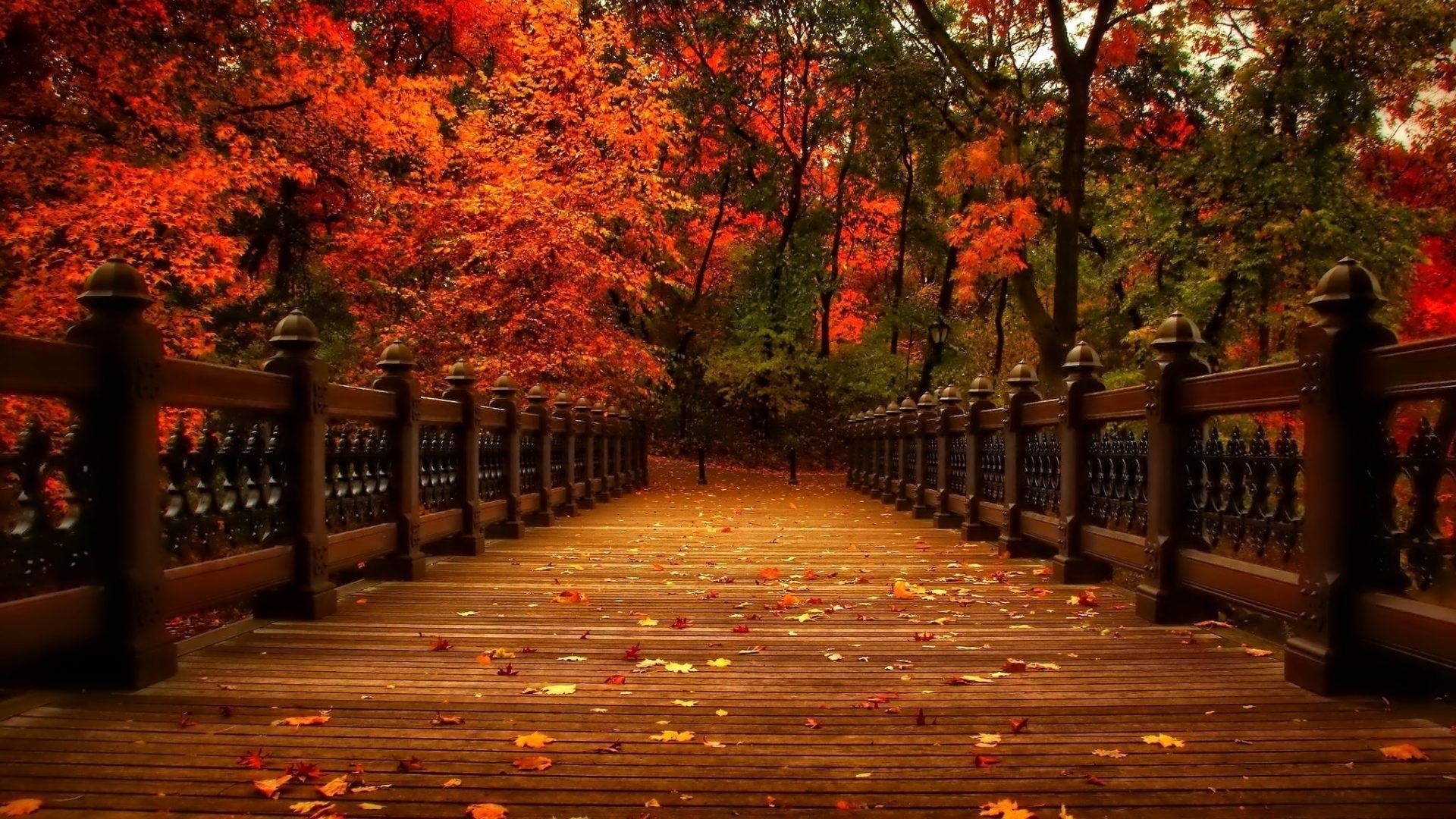 1920x1080 Autumn Laptop Wallpaper Free Autumn Laptop Background, Desktop