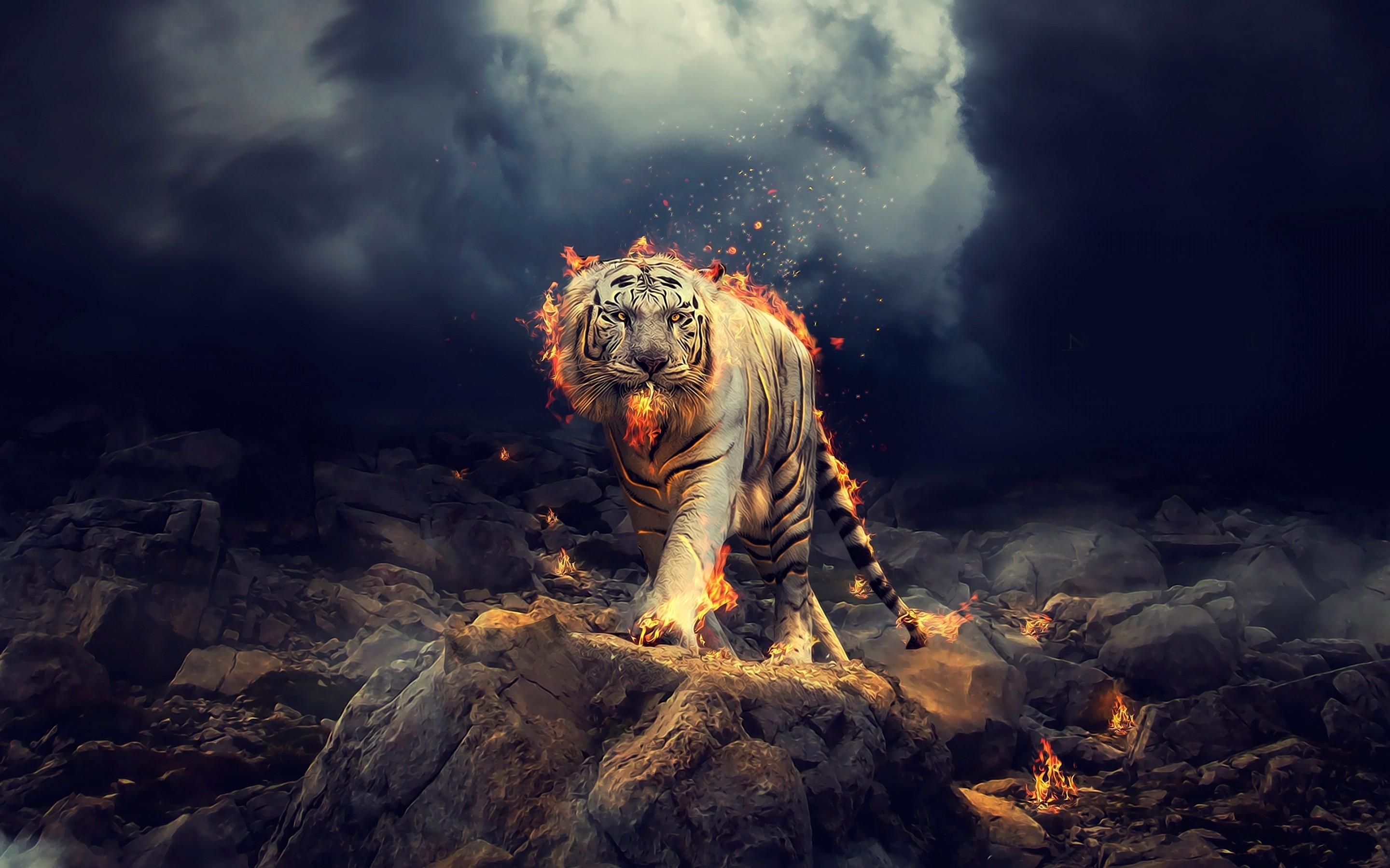 2880x1800 Download  White Tiger, Fantasy, Fire, Rocks, Walking, Desktop