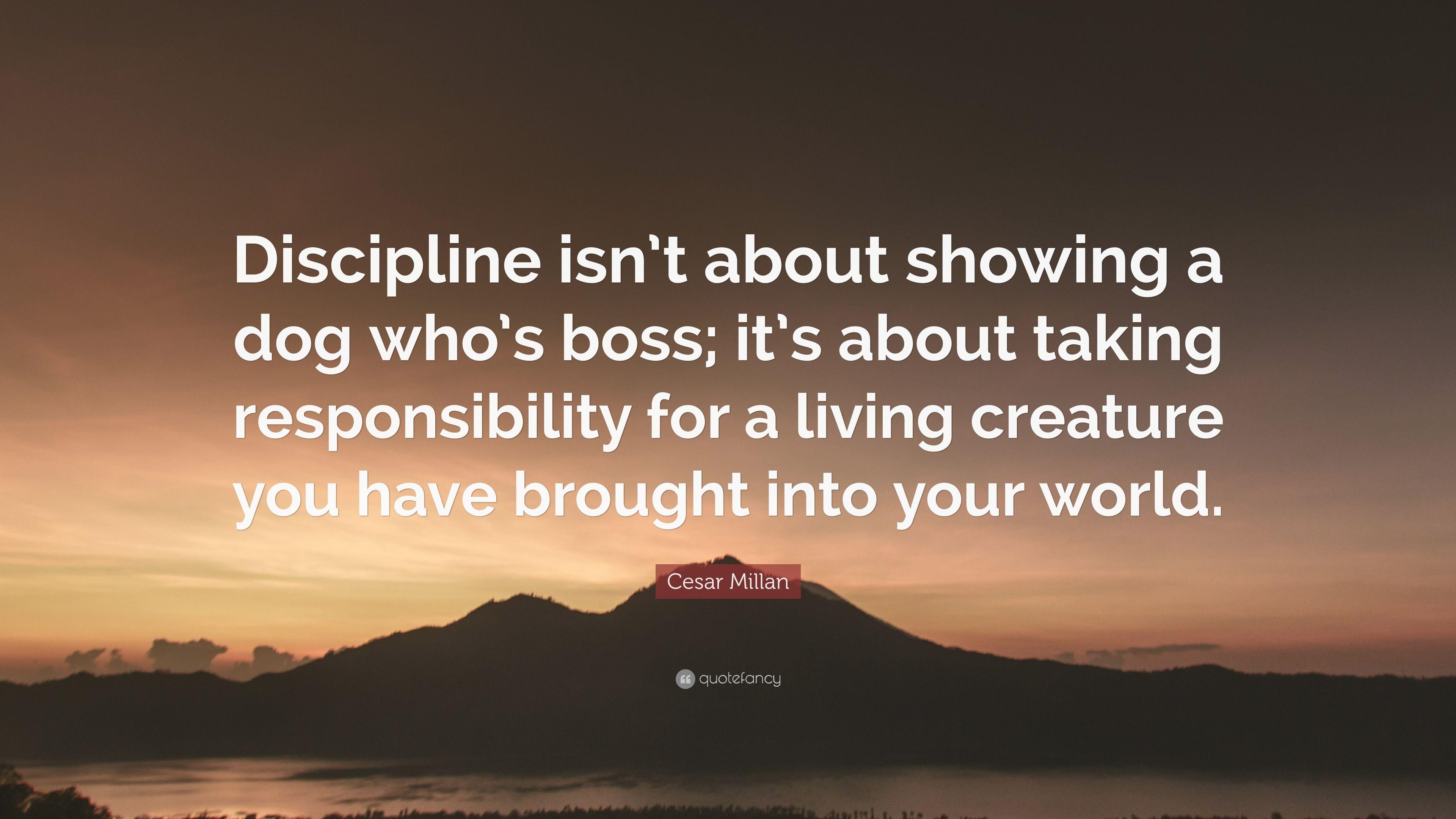 3840x2160 Cesar Millan Quote: “Discipline isn't about showing a dog who's boss, Desktop