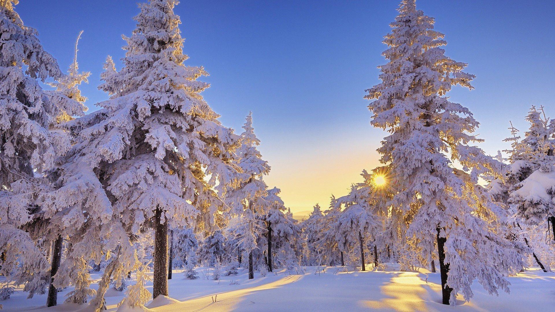 1920x1080 Winter Wonderland Wallpaper for Desktop, Desktop