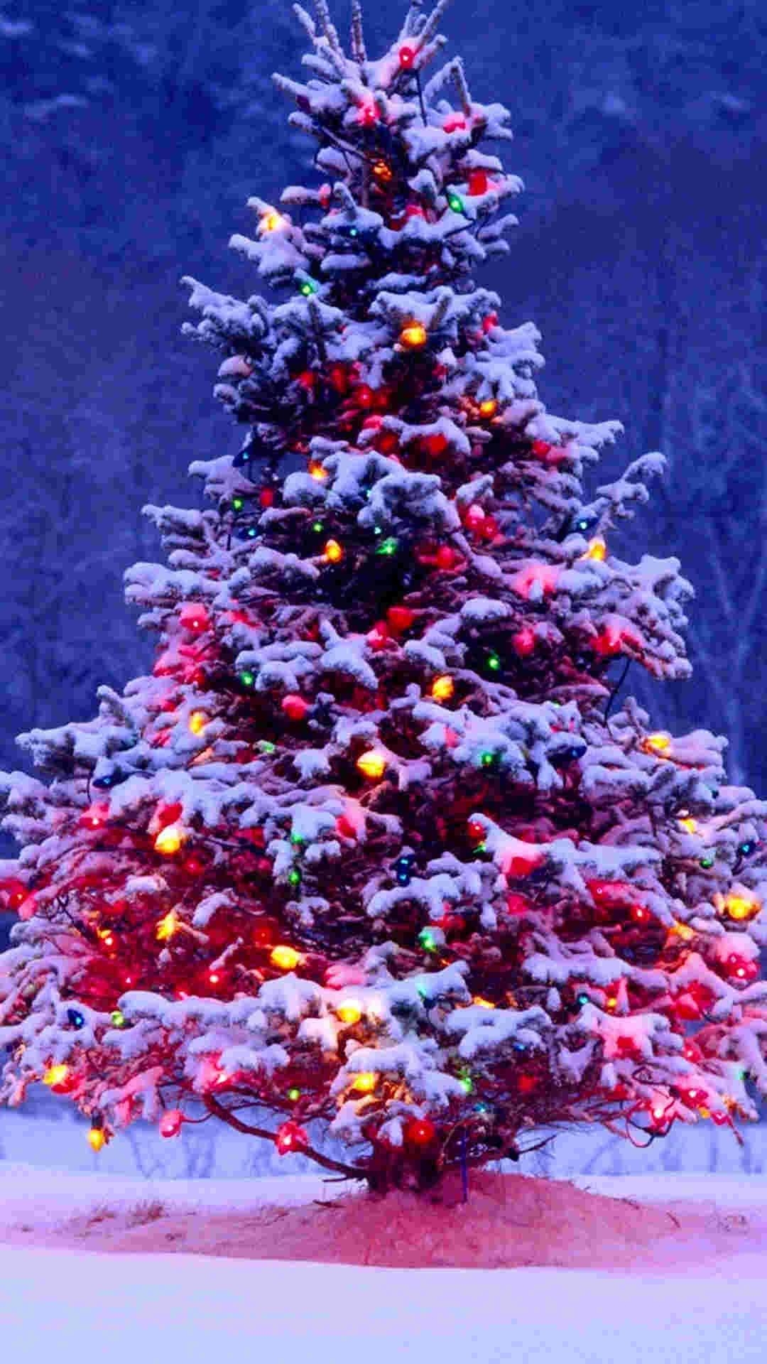 1080x1920 Christmas Lights iPhone Wallpaper, Phone