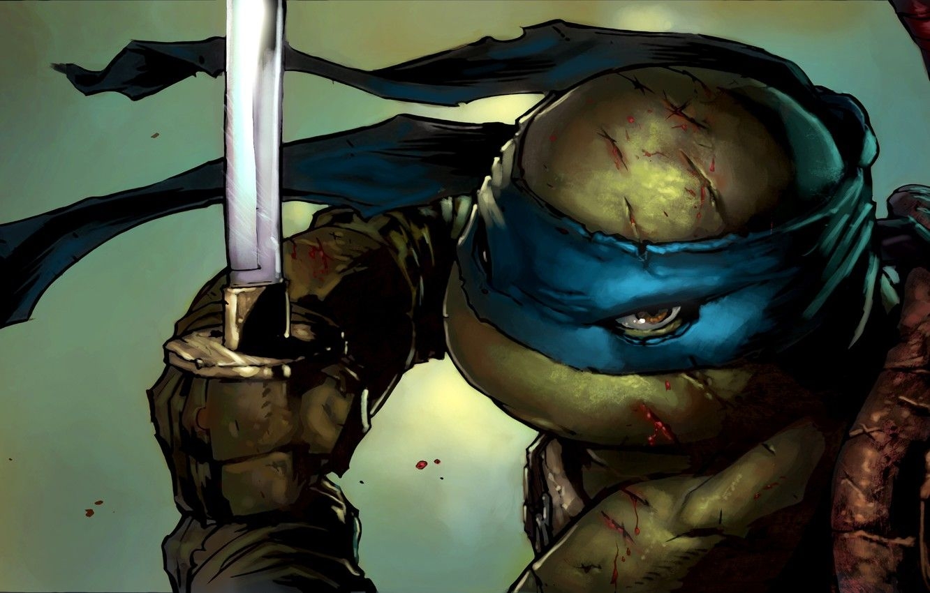 1340x850 Wallpaper look, sword, katana, mask, ninja, bug, TMNT, Leonardo, Leonardo, Teenage Mutant Ninja Turtles, teenage mutant ninja turtles, nindzyato image for desktop, section фантастика, Desktop