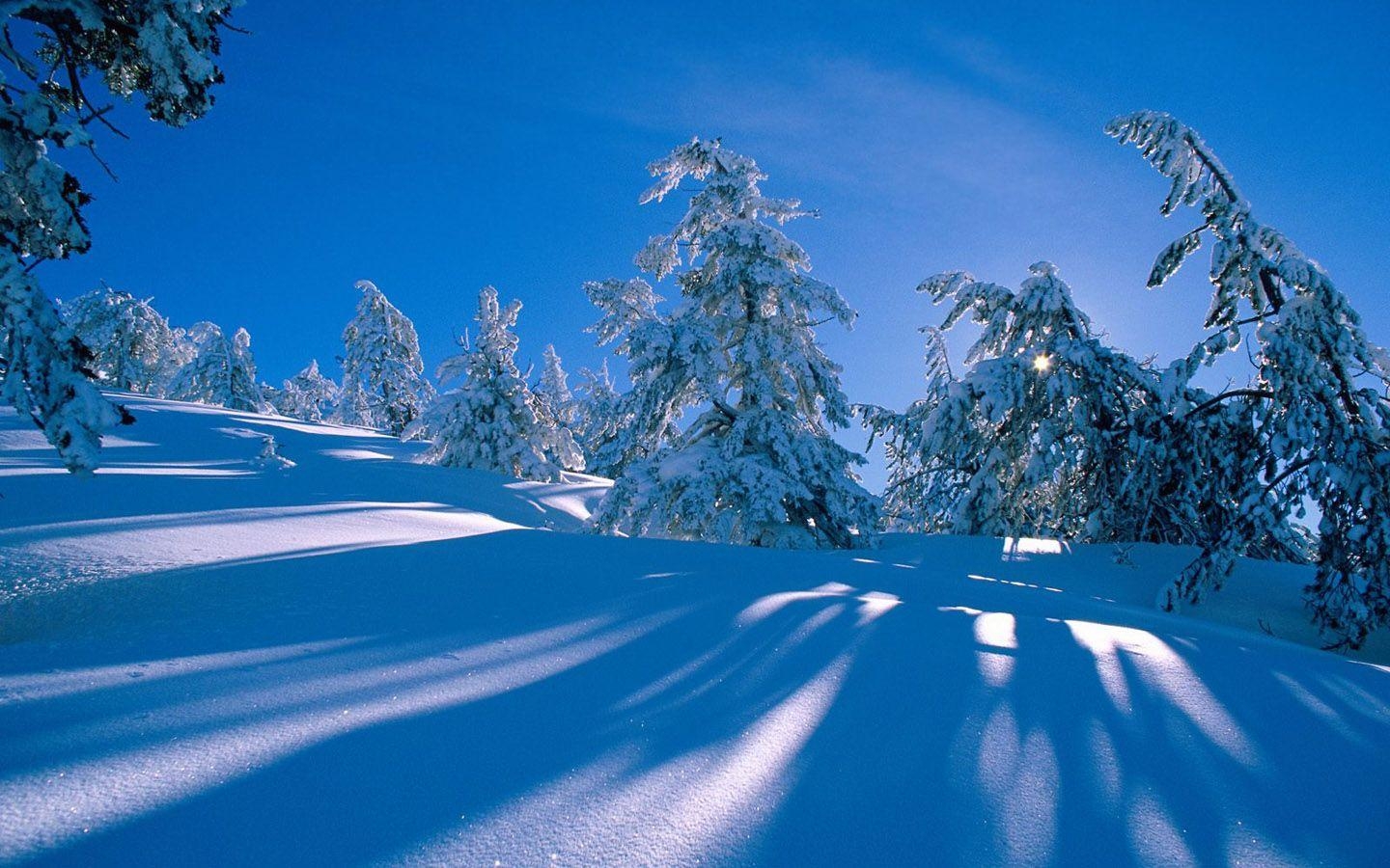 1440x900 Free download Winter wonderland Dreamy Snow Scene wallpaper  NO26 Desktop [] for your Desktop, Mobile & Tablet. Explore Winter Wonderland Scenes Wallpaper. Free Winter Scene Wallpaper, Snowy Winter, Desktop