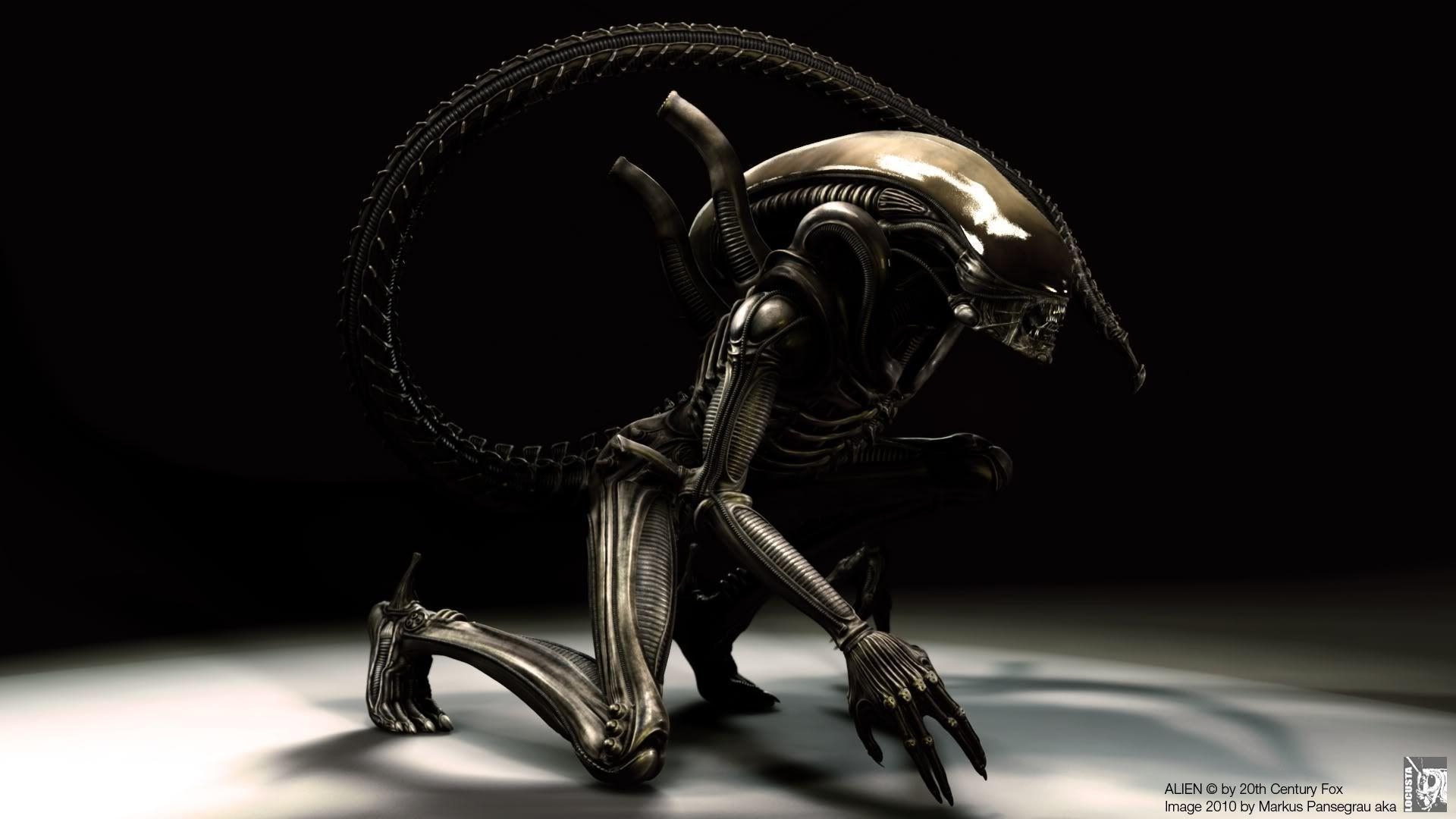 1920x1080 Xenomorph HD Wallpaperx1080, Desktop