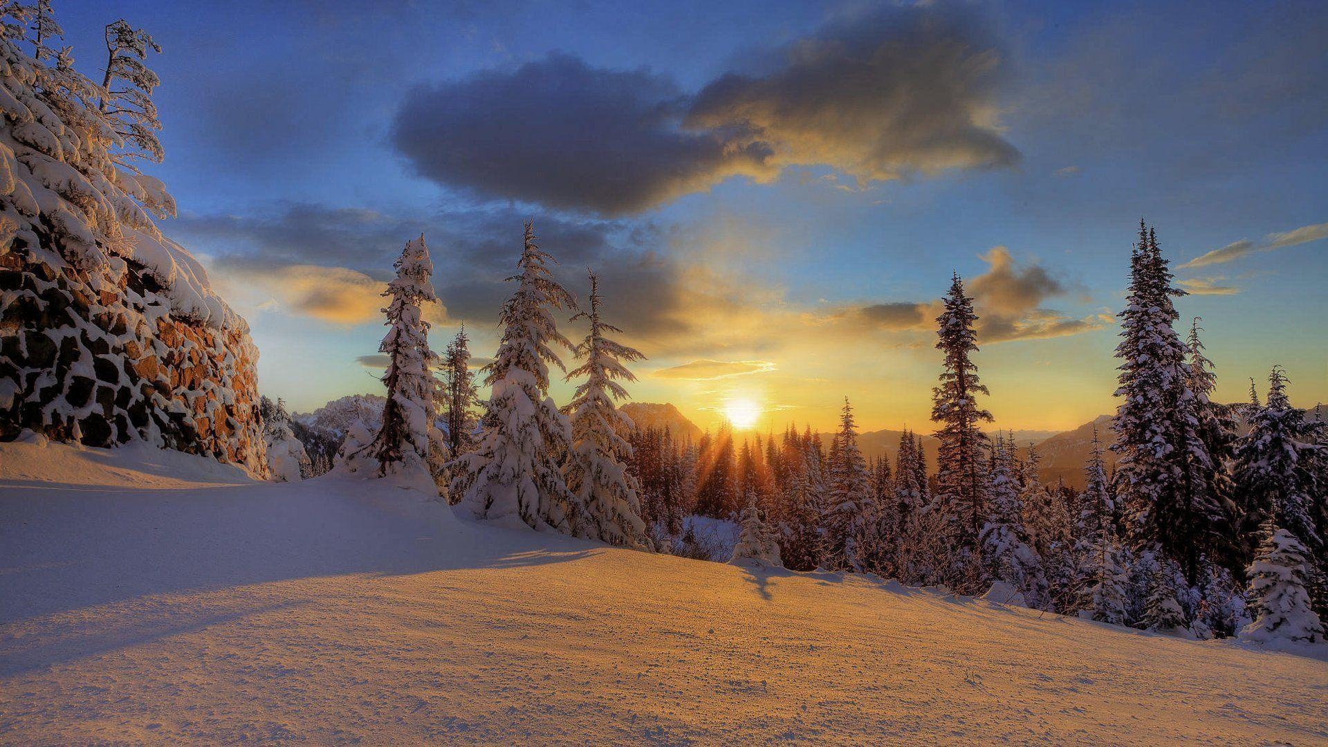 1920x1080 mount rainier national park winter forest snow mountain HD wallpaper, Desktop