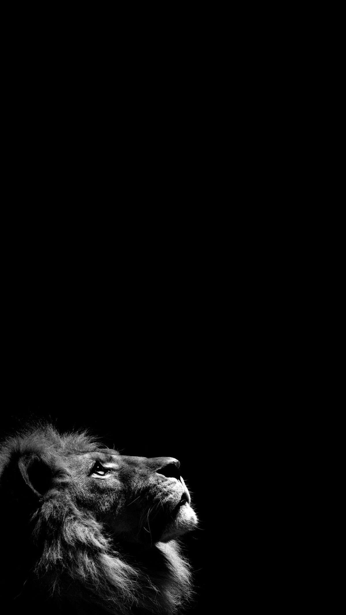 1200x2140 iPhone 7 Wallpaper 4k Black, Phone