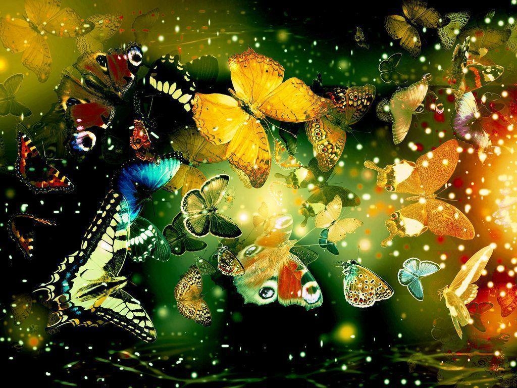 1030x770 Best butterfly wallpaper free, Desktop