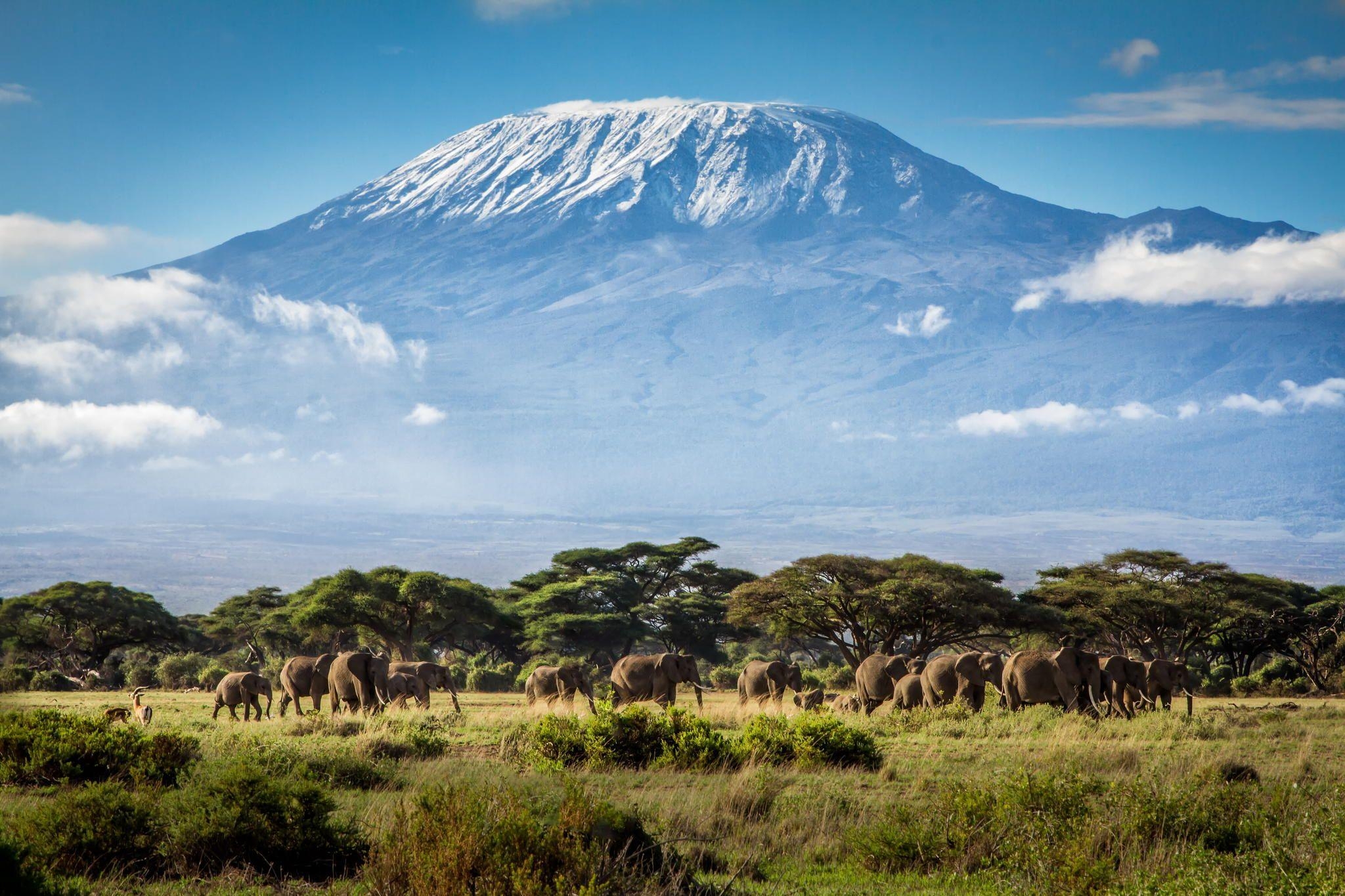 2050x1370 Mount Kilimanjaro HD wallpaper, Desktop