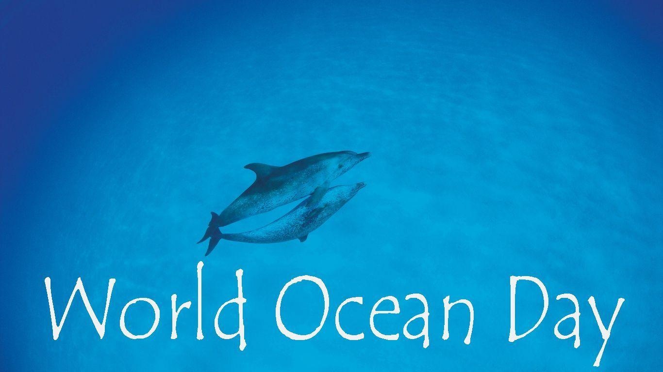 1370x770 World Ocean Day Dolphins Love Ocean Wallpaper, Desktop