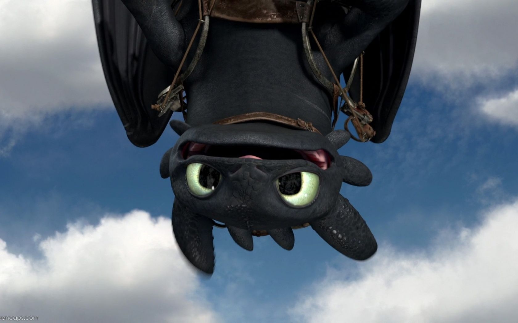 1680x1050 Free download How To Train Your Dragon Wallpaper Night Fury, Desktop