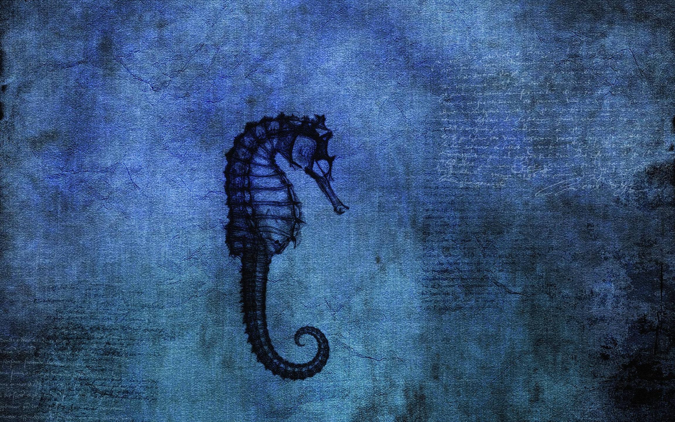 2310x1440 Seahorse Computer Wallpaper, Desktop Background 2560x1600 Id: 53452, Desktop