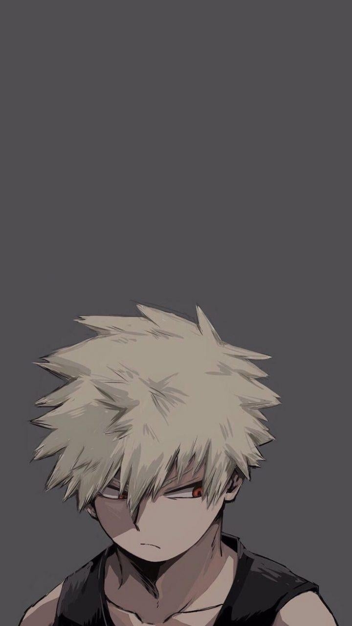 720x1280 Download Bakugo Katsuki Wallpaper, HD Background Download, Phone