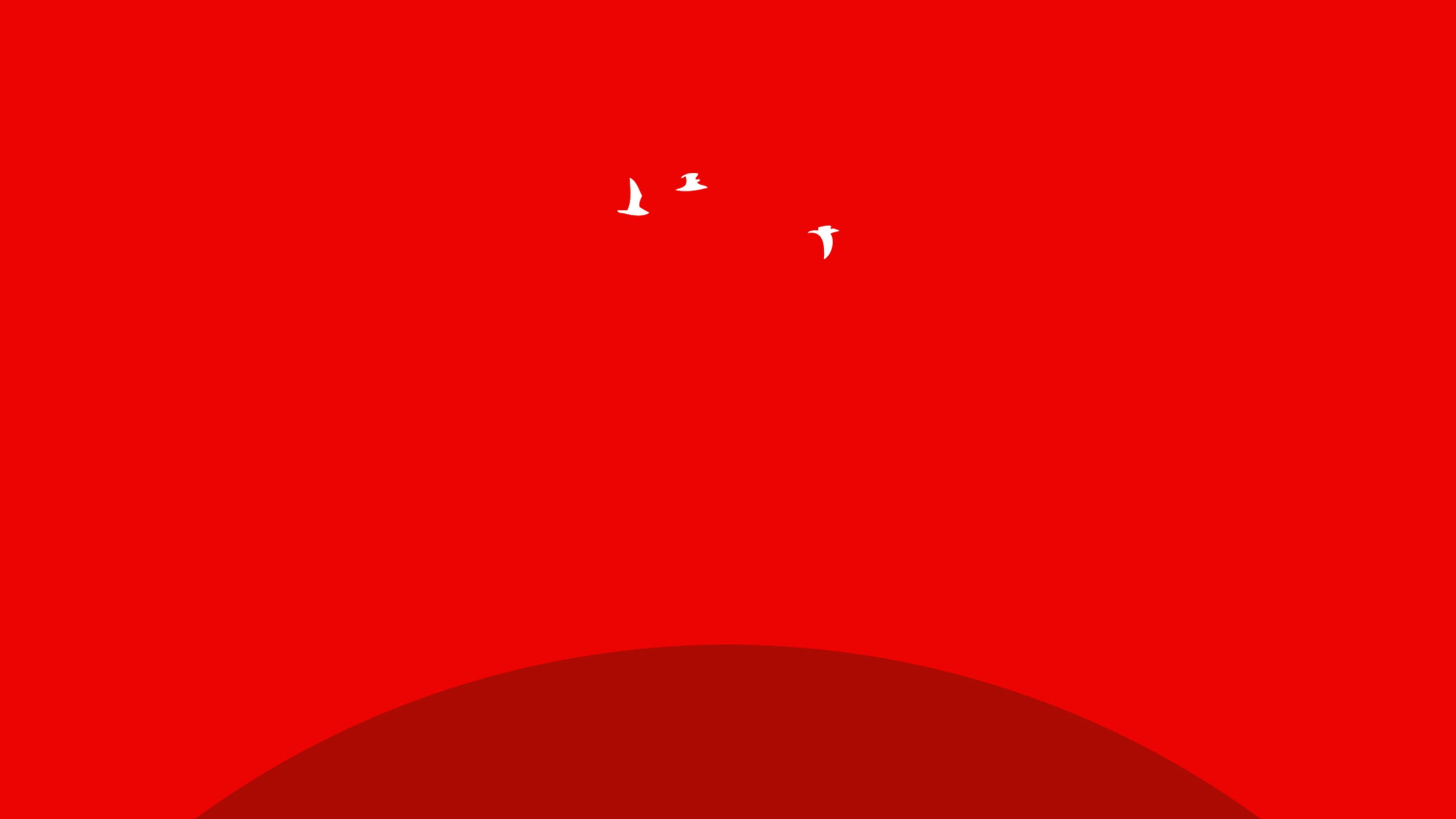 3840x2160 Sunset Red Bird Minimal, Desktop