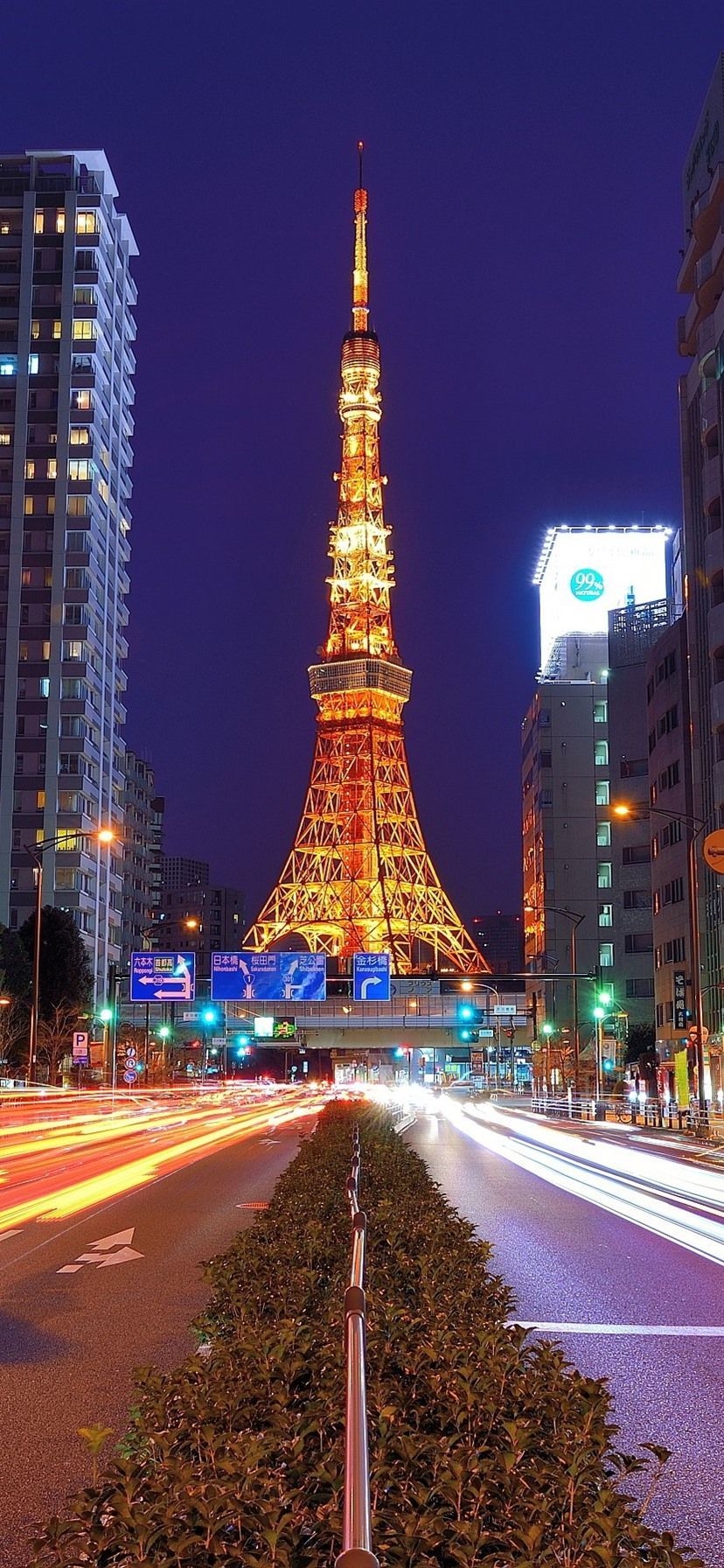 830x1800 Tokyo City Wallpaper, Phone