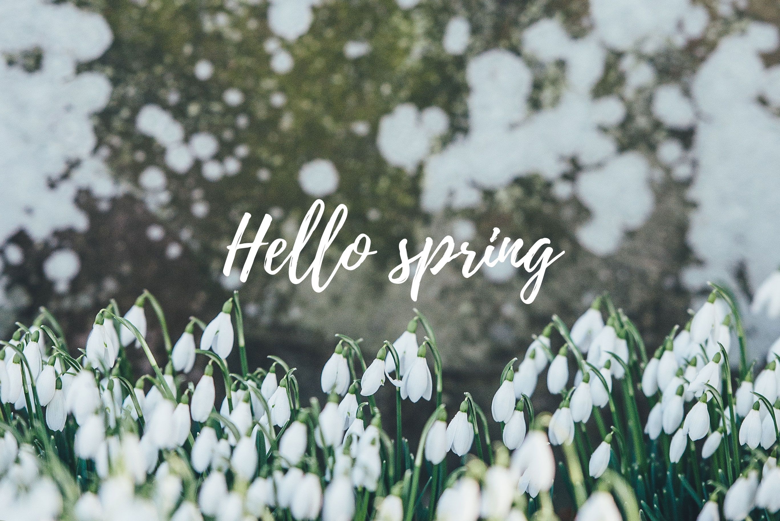 2740x1830 Aesthetic Spring Wallpaper, Desktop