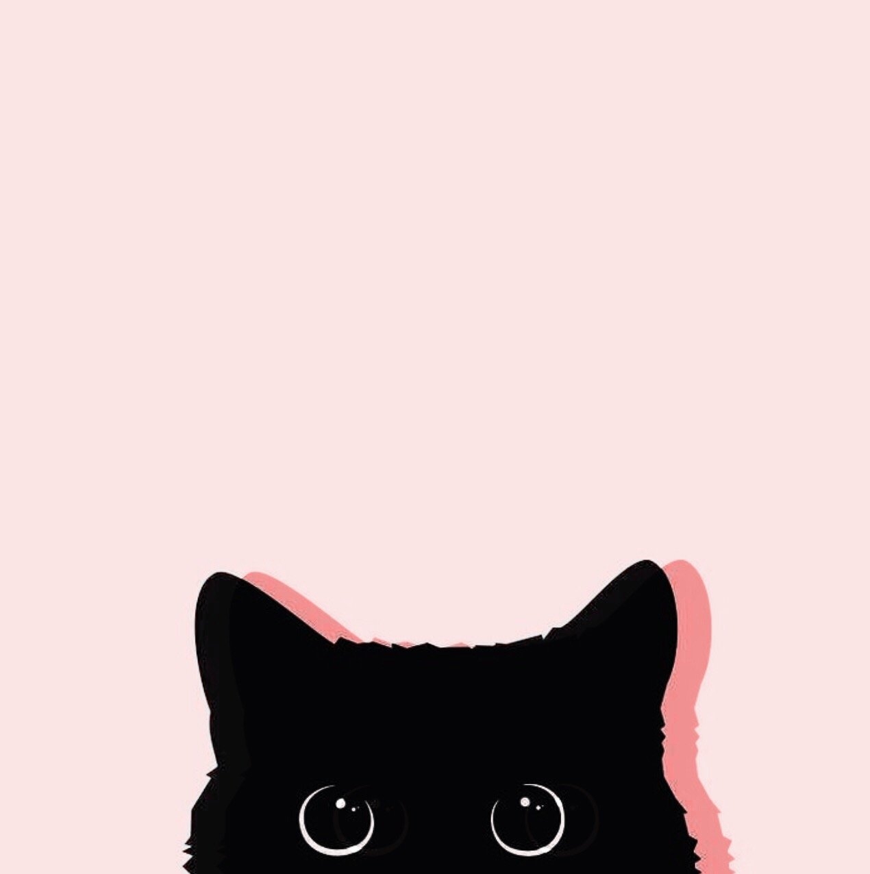 1270x1280 Wallpaper Tumblr Cute Cats, Phone