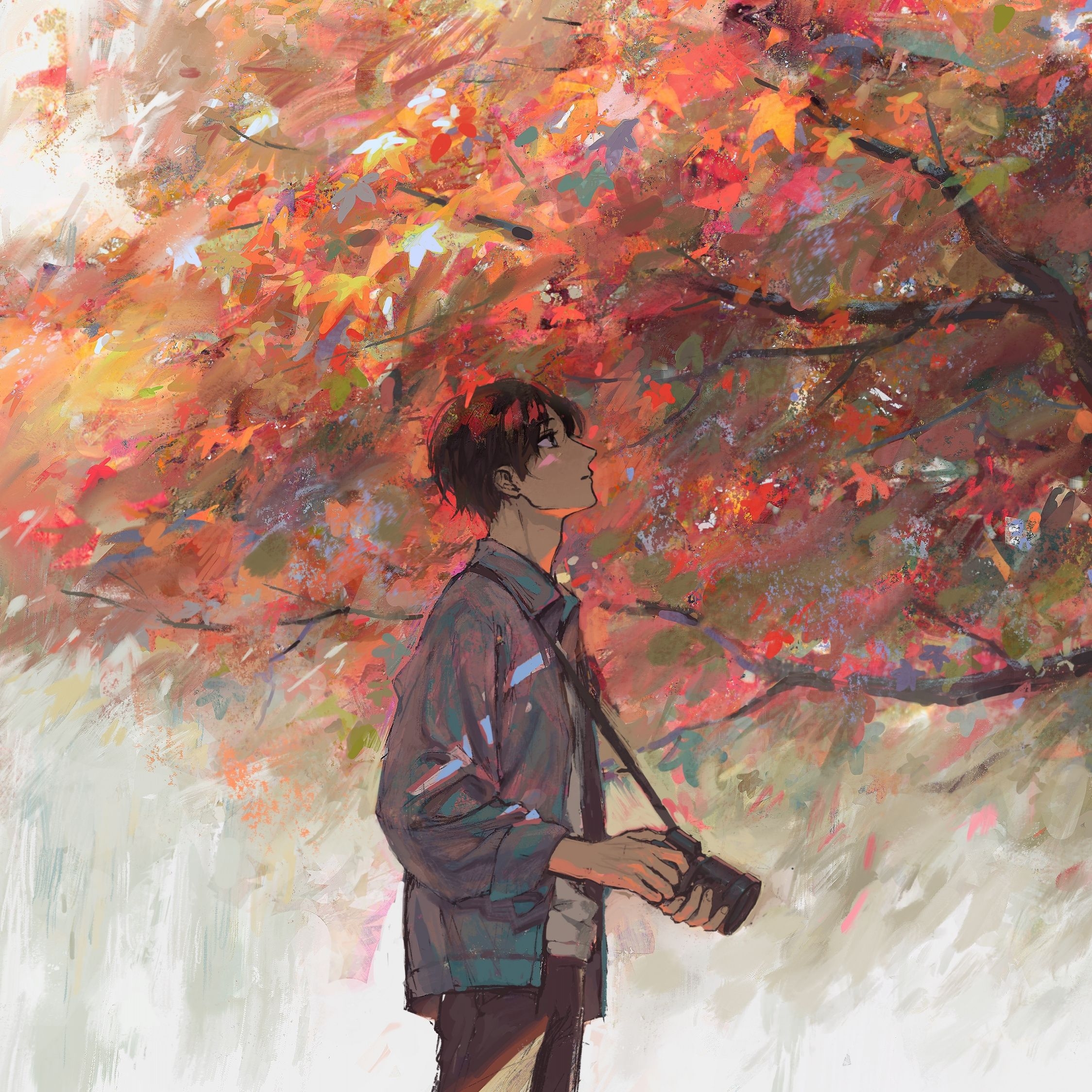 2250x2250 Download Anime boy, autumn, tree, artwork wallpaper, 2248x iPad Air, iPad Air iPad iPad iPad mini iPad mini 3, Phone