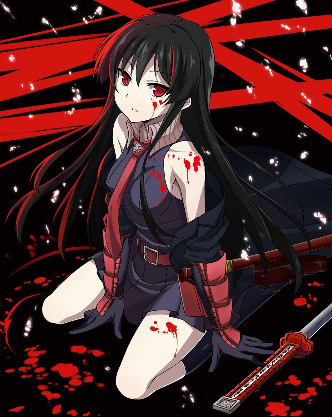 1070x1340 Akame ga Kill! Anime Image Boardzerochan.net, Phone