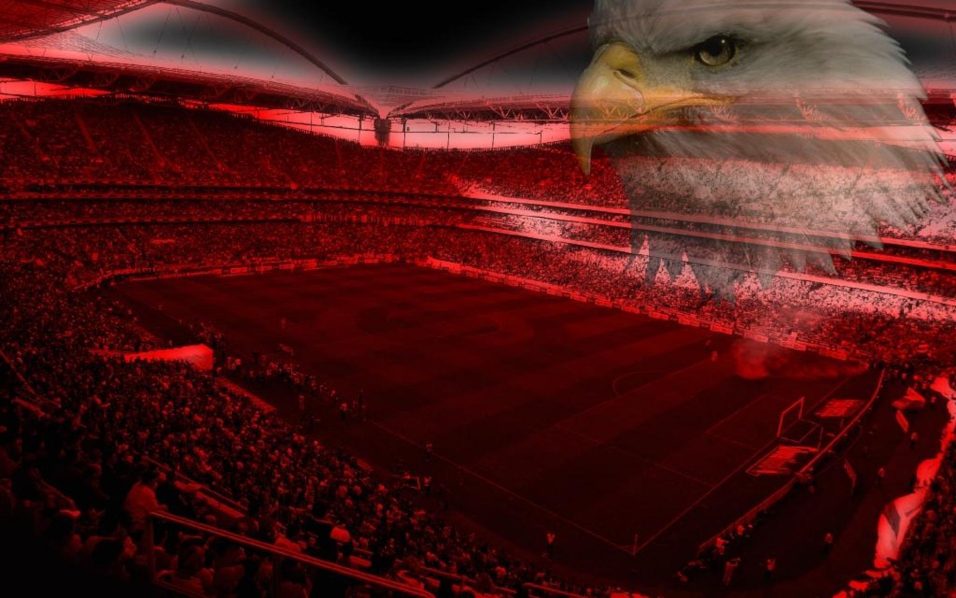 1920x1200 Benfica Wallpaper, Desktop