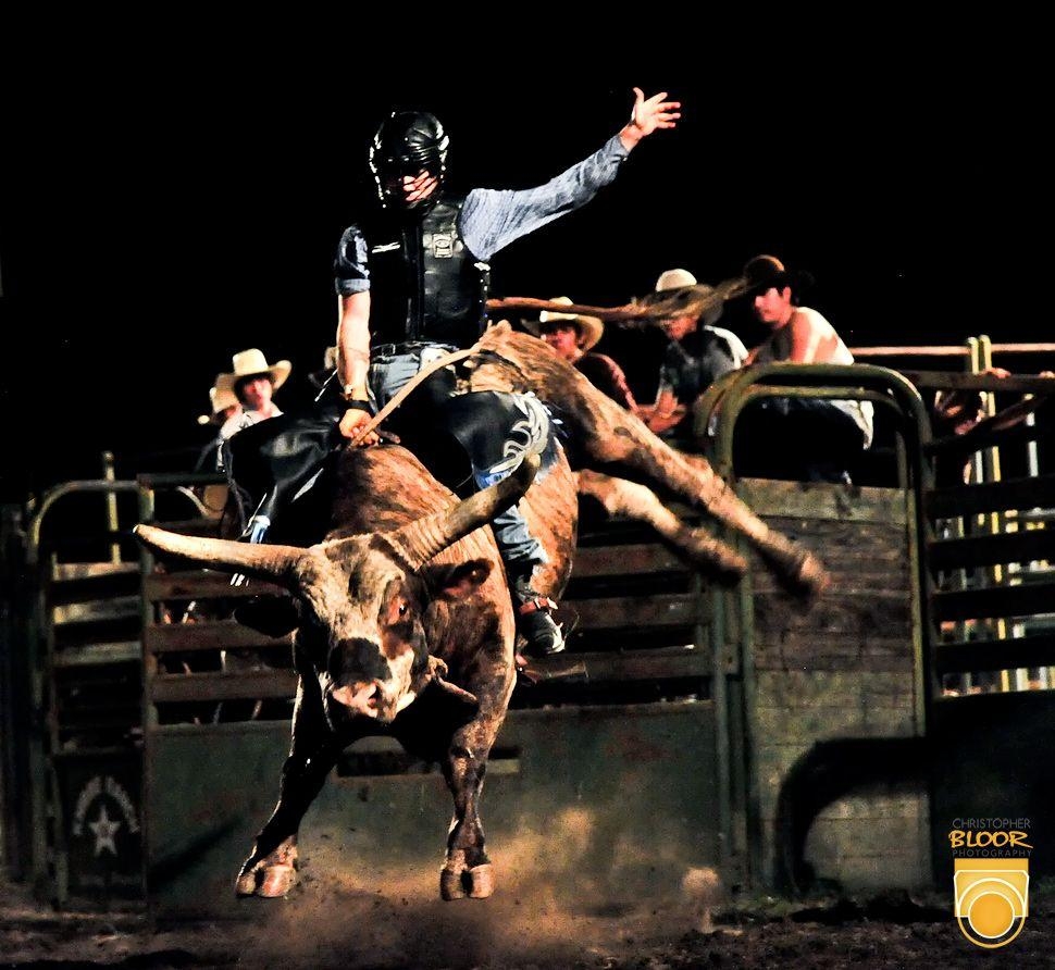 970x900 Image for PC: PBR Bull Riding, Desktop