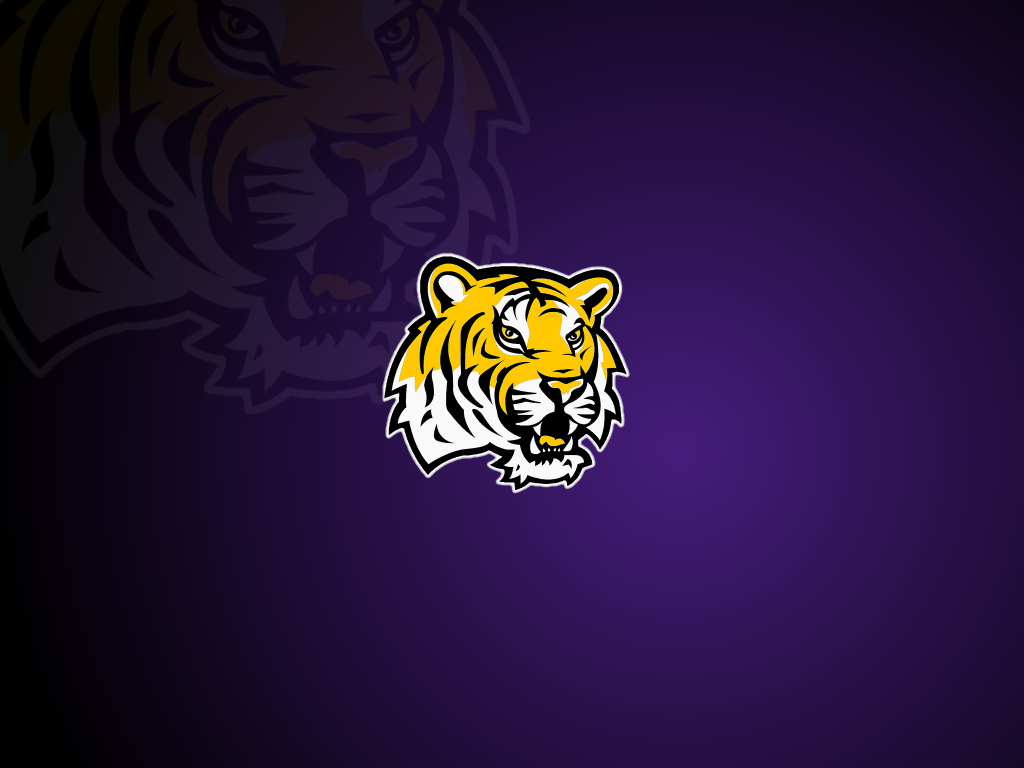 1030x770 LSU Football Wallpaper for Computer, Desktop