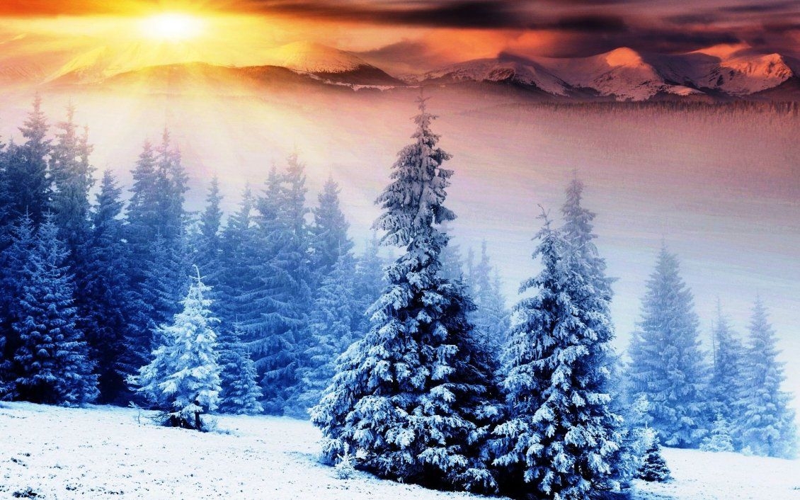 1130x710 Beautiful winter season over the trees, Desktop