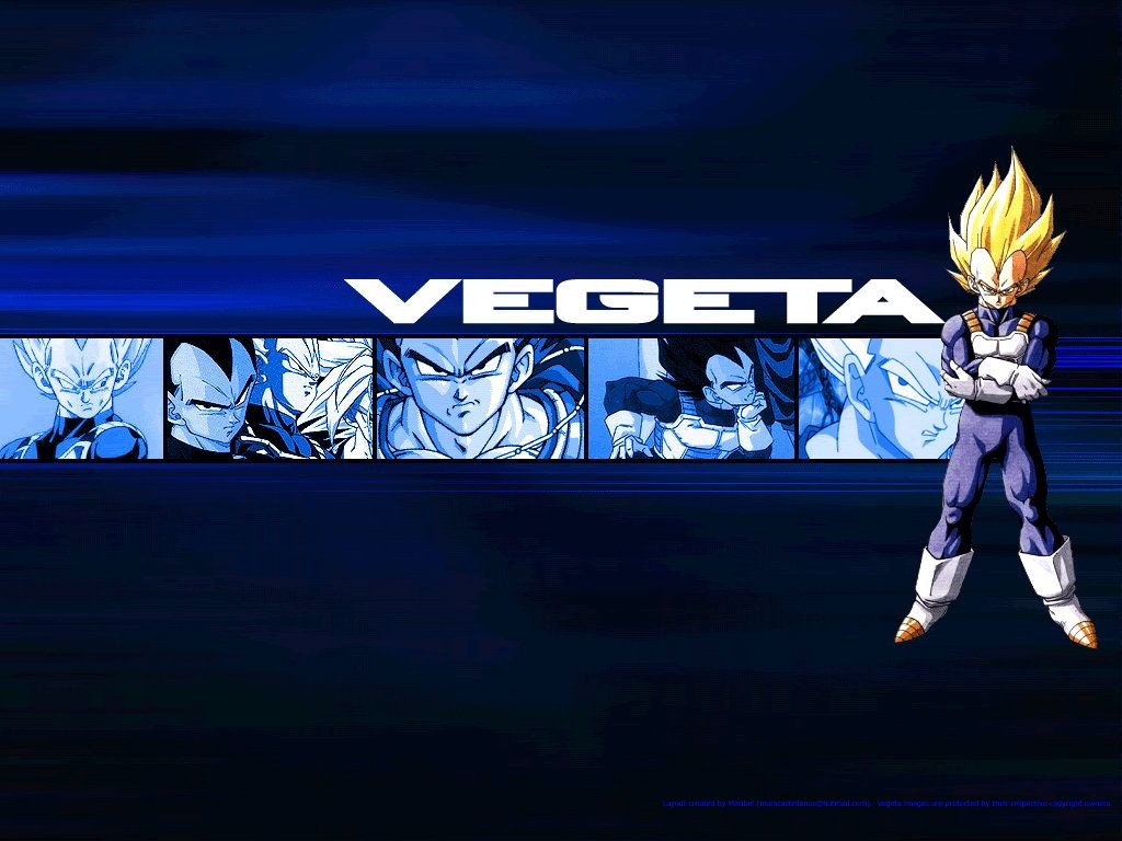 1030x770 Vegeta Desktop Background on.hipwallpaper.com, Desktop