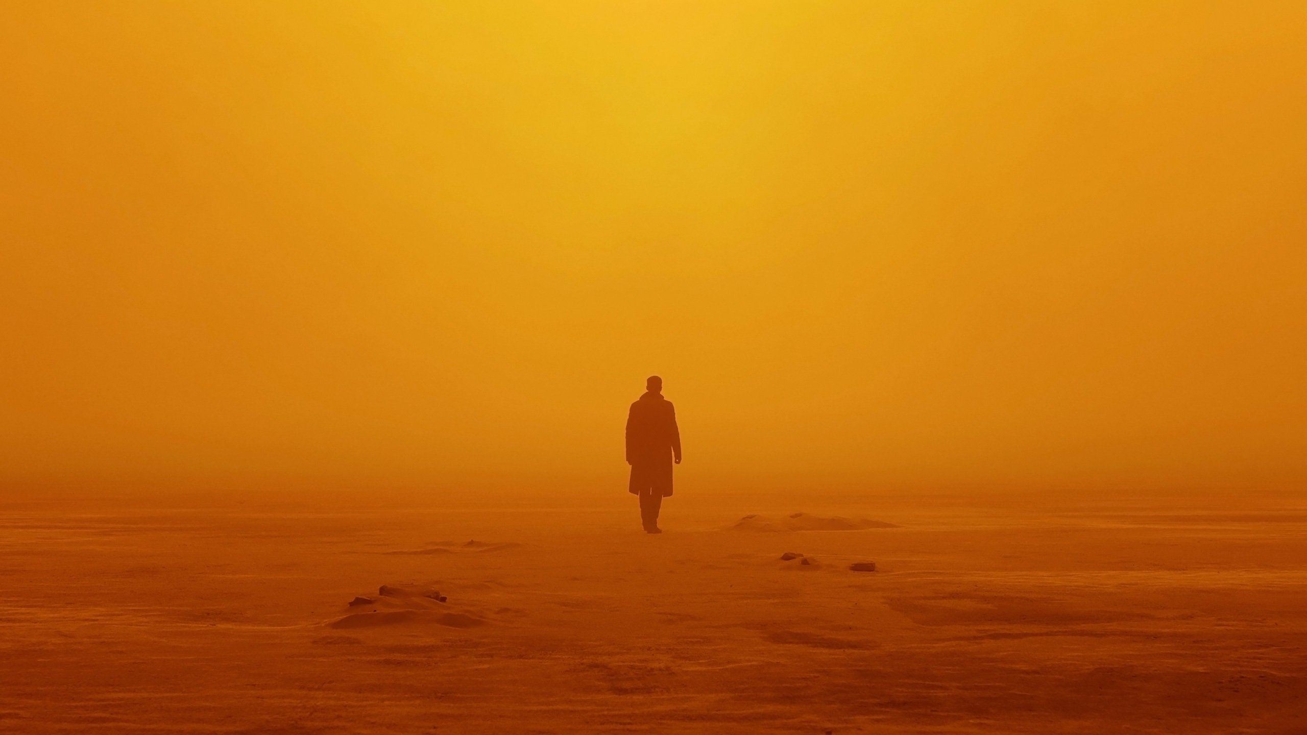 2560x1440 Wallpaper 4k Officer K Blade Runner 2049 Wallpaper, Desktop