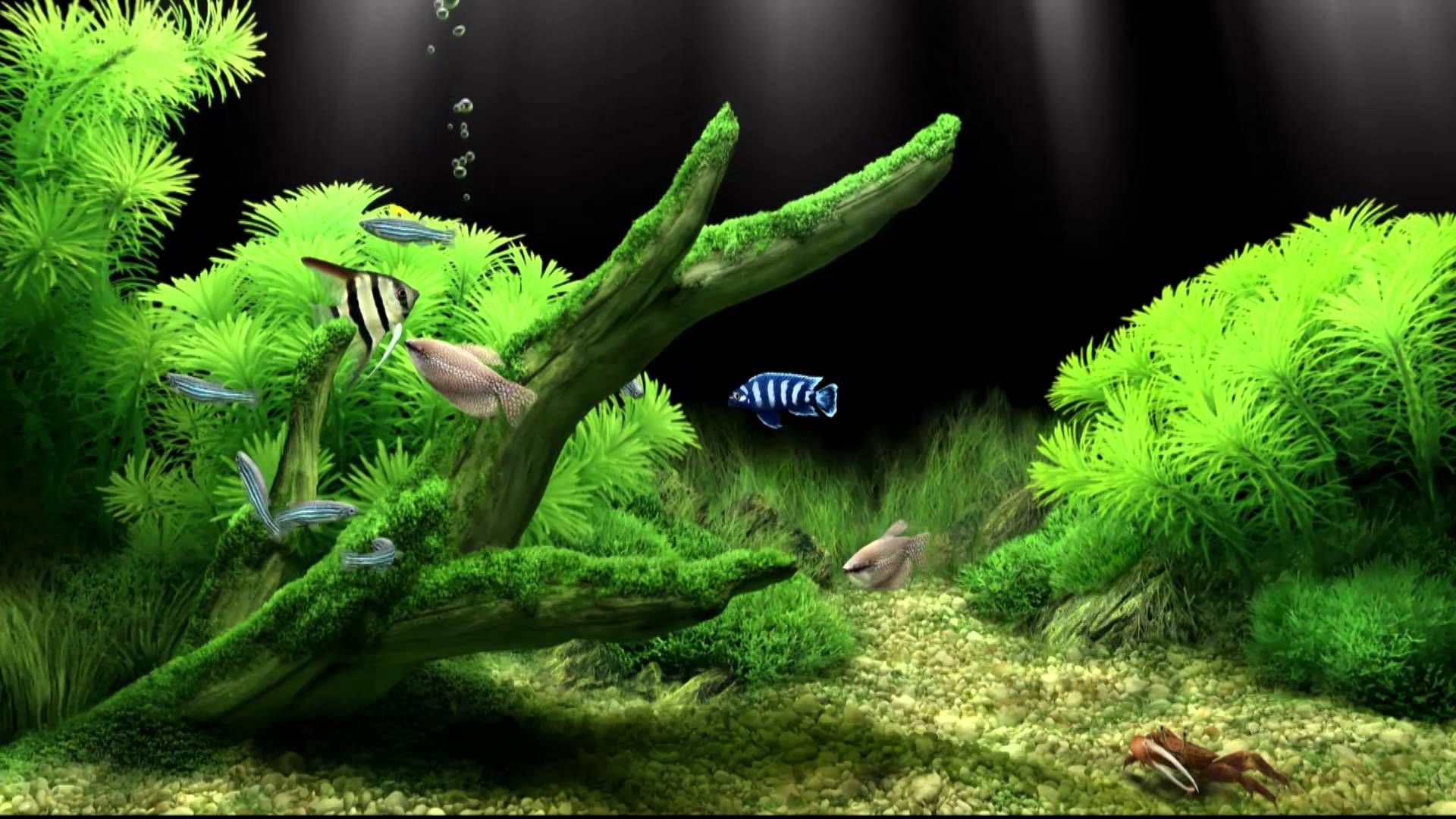 1920x1080 Dream Aquarium Virtual Fishtank, Desktop