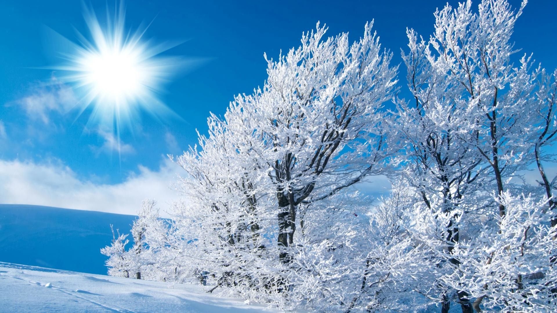 1920x1080 Winter Wonderland HD Wallpaper, Desktop