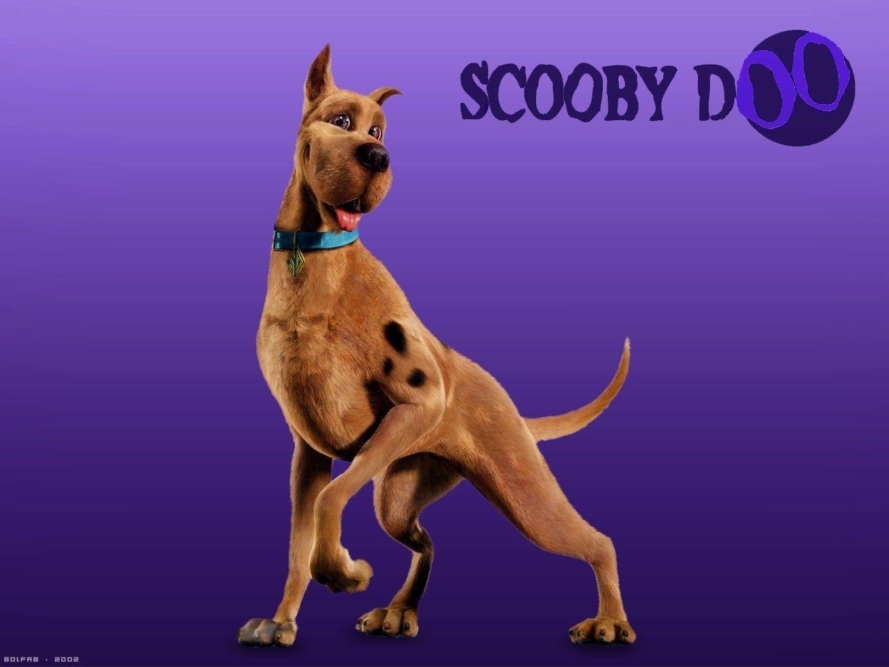 1280x960 Scooby Doo HD Wallpaper And Background Image, Desktop