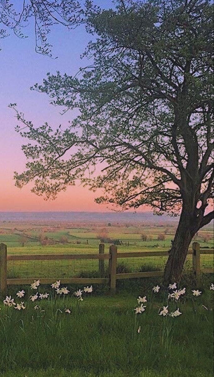 690x1200 Nature aesthetic, Nature photography.br.com, Phone