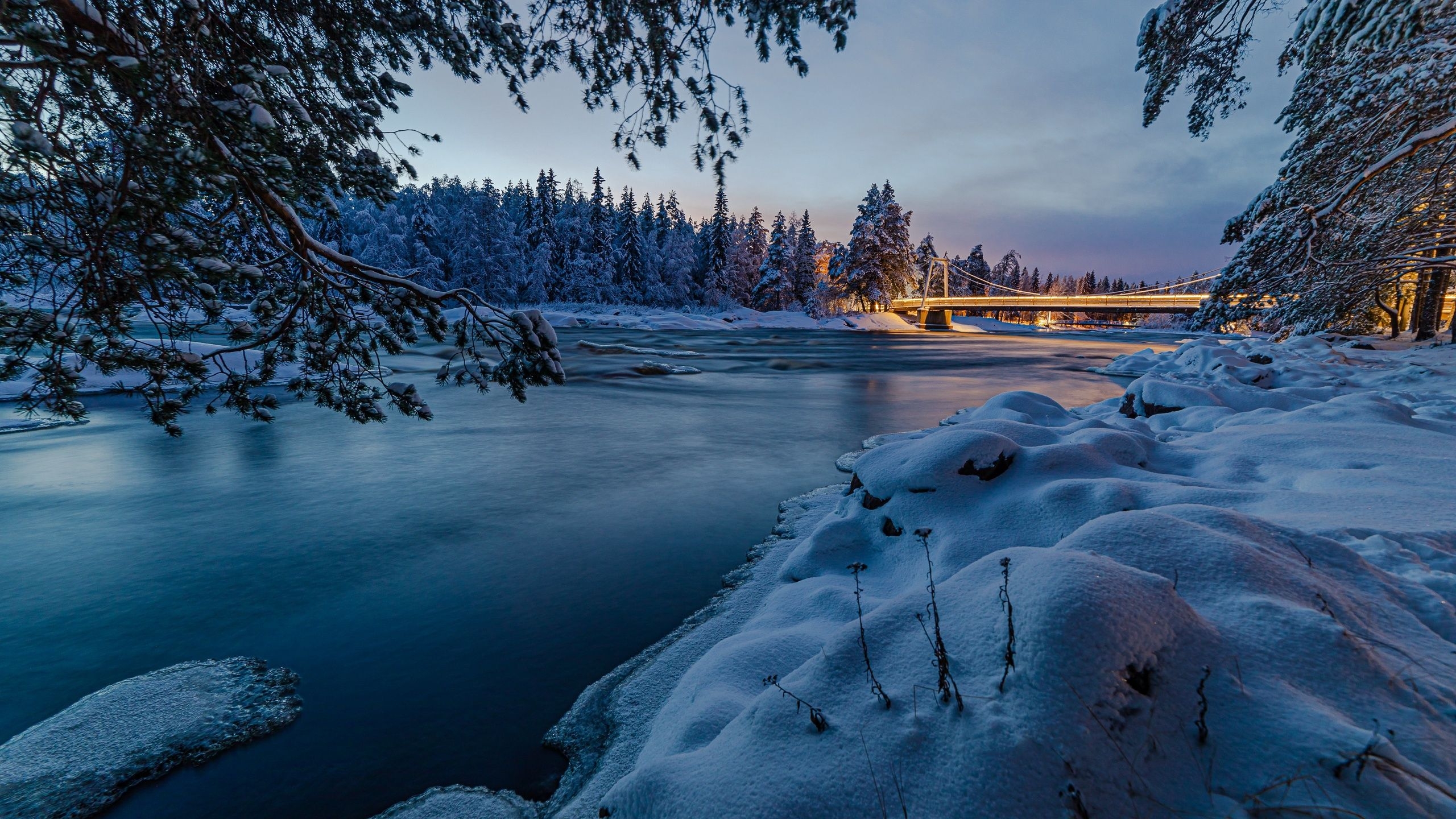 2560x1440 Rivers Forests Finland 4k 1440P Resolution HD 4k Wallpaper, Image, Background, Photo and Picture, Desktop