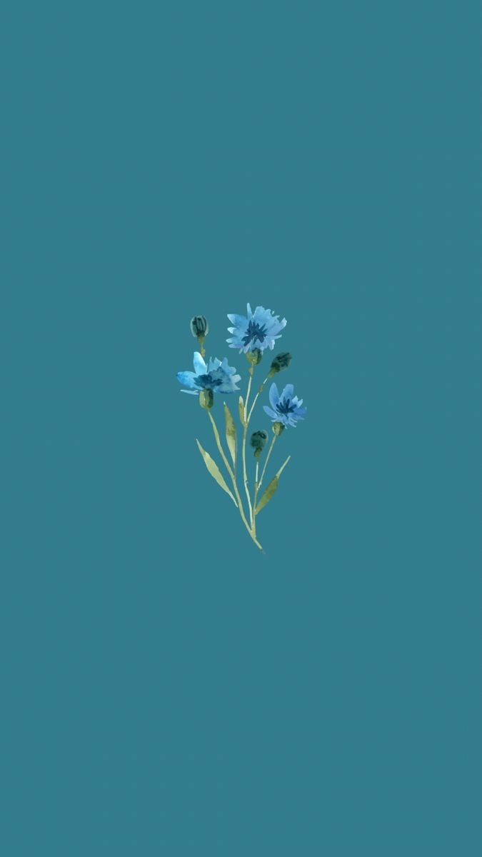 680x1200 wildflower wallpaper. Simple phone wallpaper, Simple iphone wallpaper, Flower iphone wallpaper, Phone