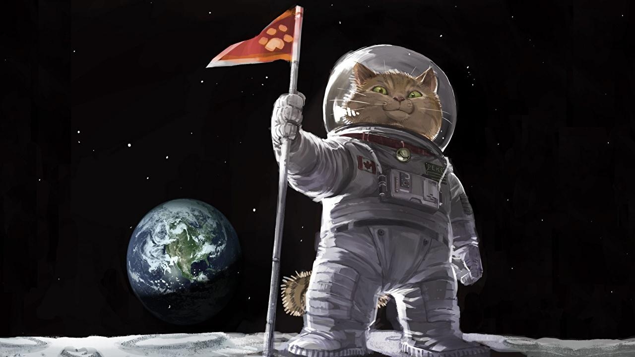 1280x720 image Humor Earth cat Cosmonauts Space Moon Animals, Desktop