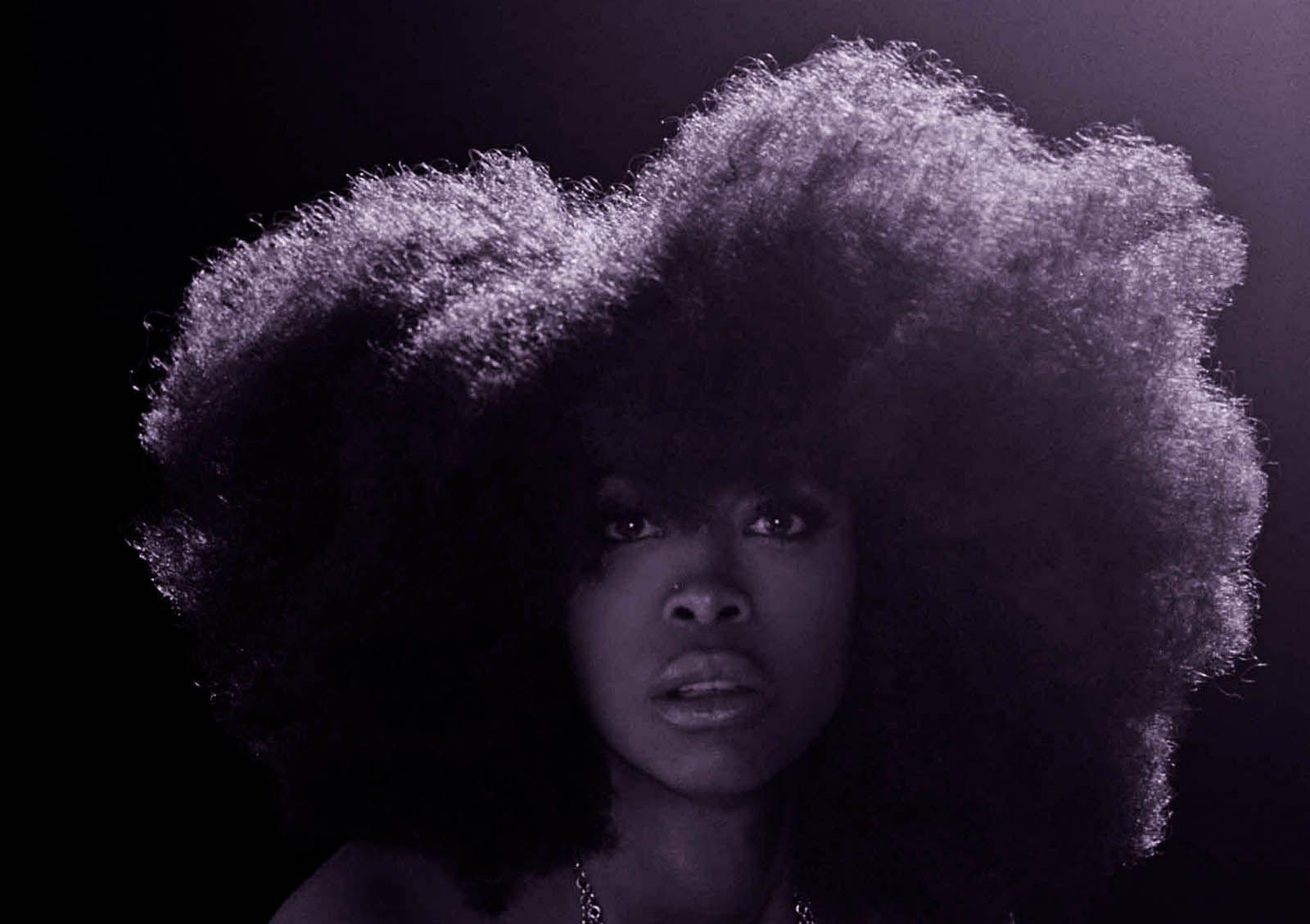 1600x1130 erykah badu wallpaper Collection, Desktop