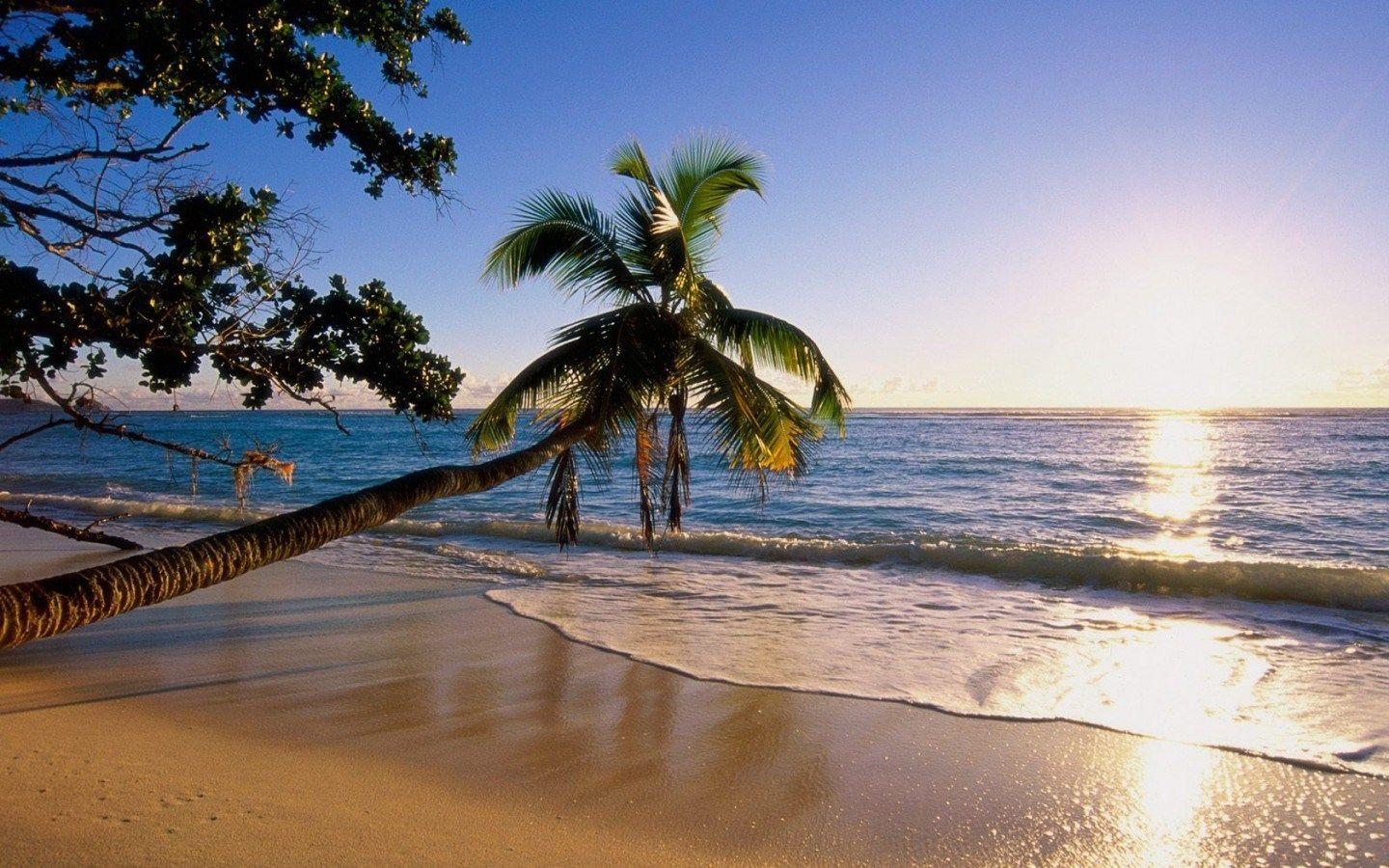 1440x900 excellent island wallpaper. ololoshenka. Beach, Desktop